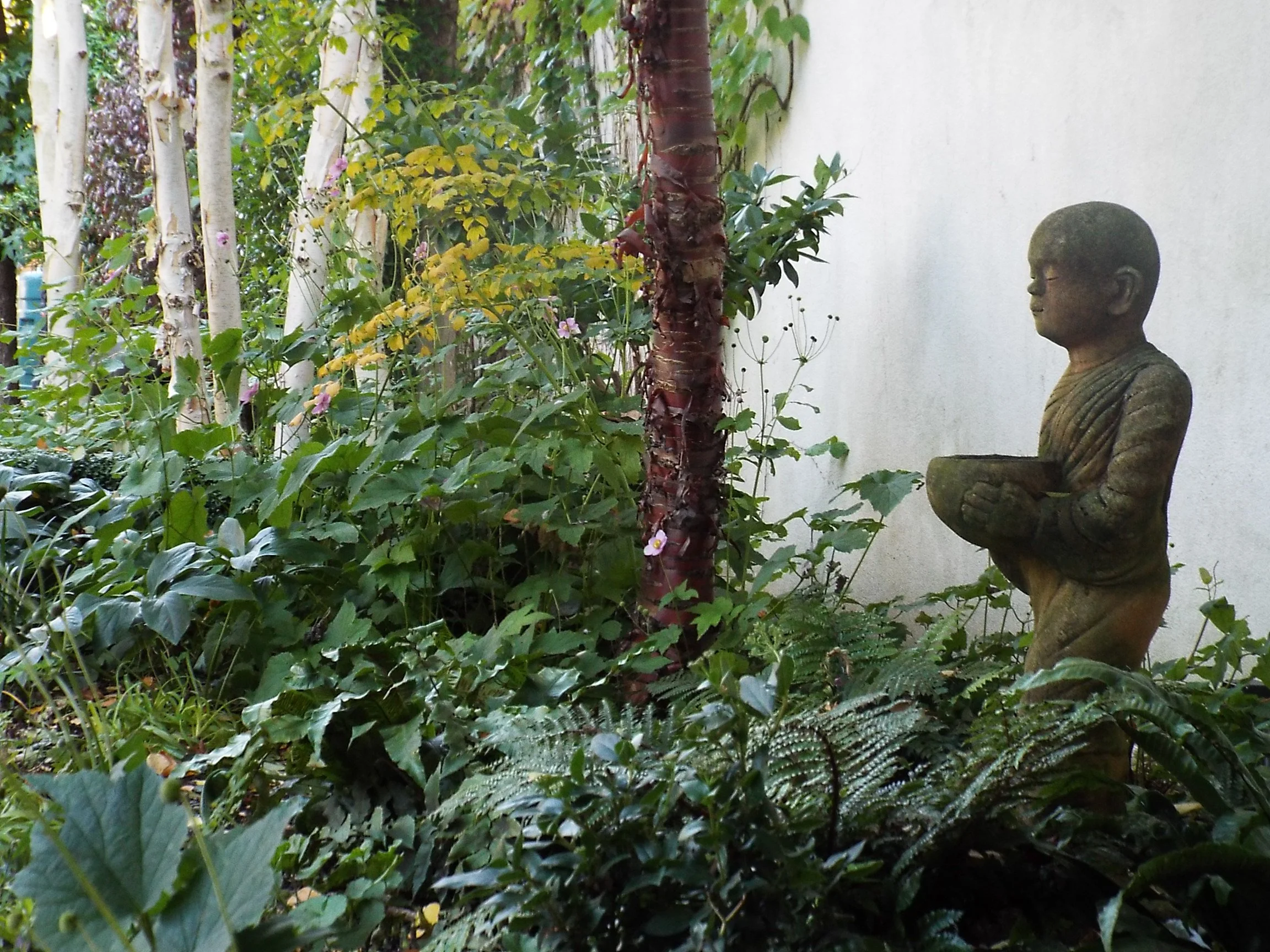 A garden scene with various green plants, a tree with peeling bark, and a small statue of a young Buddha in profile, holding a bowl.