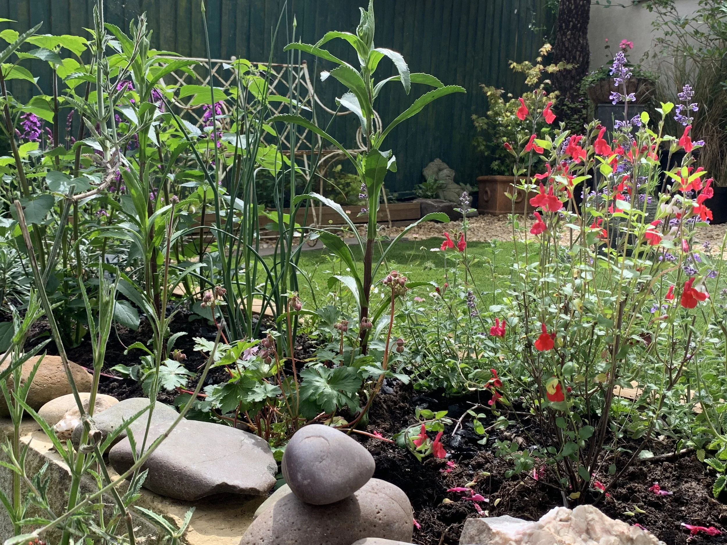 A vibrant garden with various green plants, colorful flowers, and a small rock arrangement in the foreground.