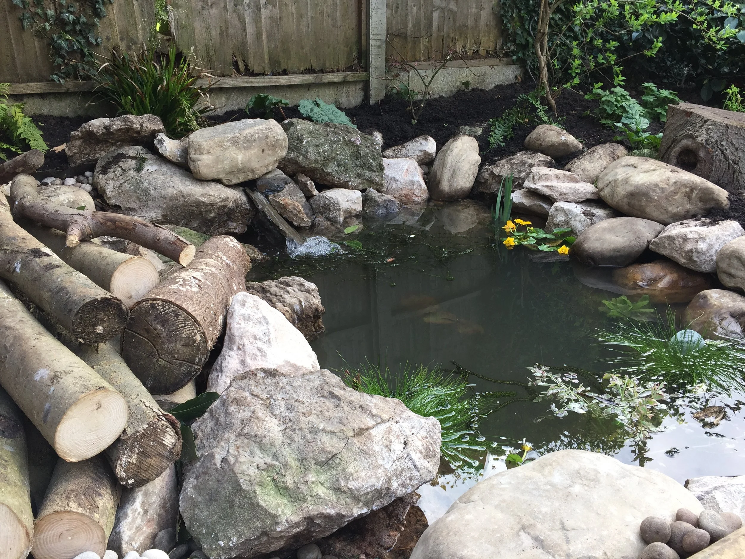 A small backyard pond surrounded by rocks and logs, with lily pads and yellow flowers.