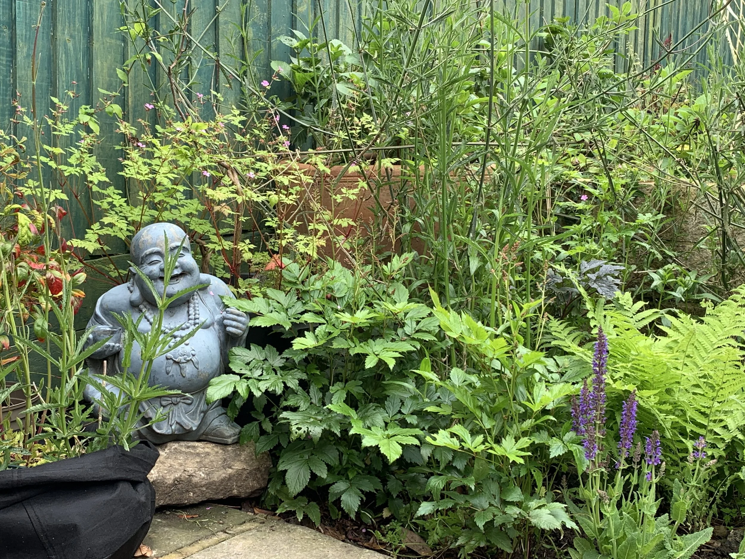 A garden scene with green plants, ferns, purple flowers, a stone Buddha statue, and a green wooden fence in the background.