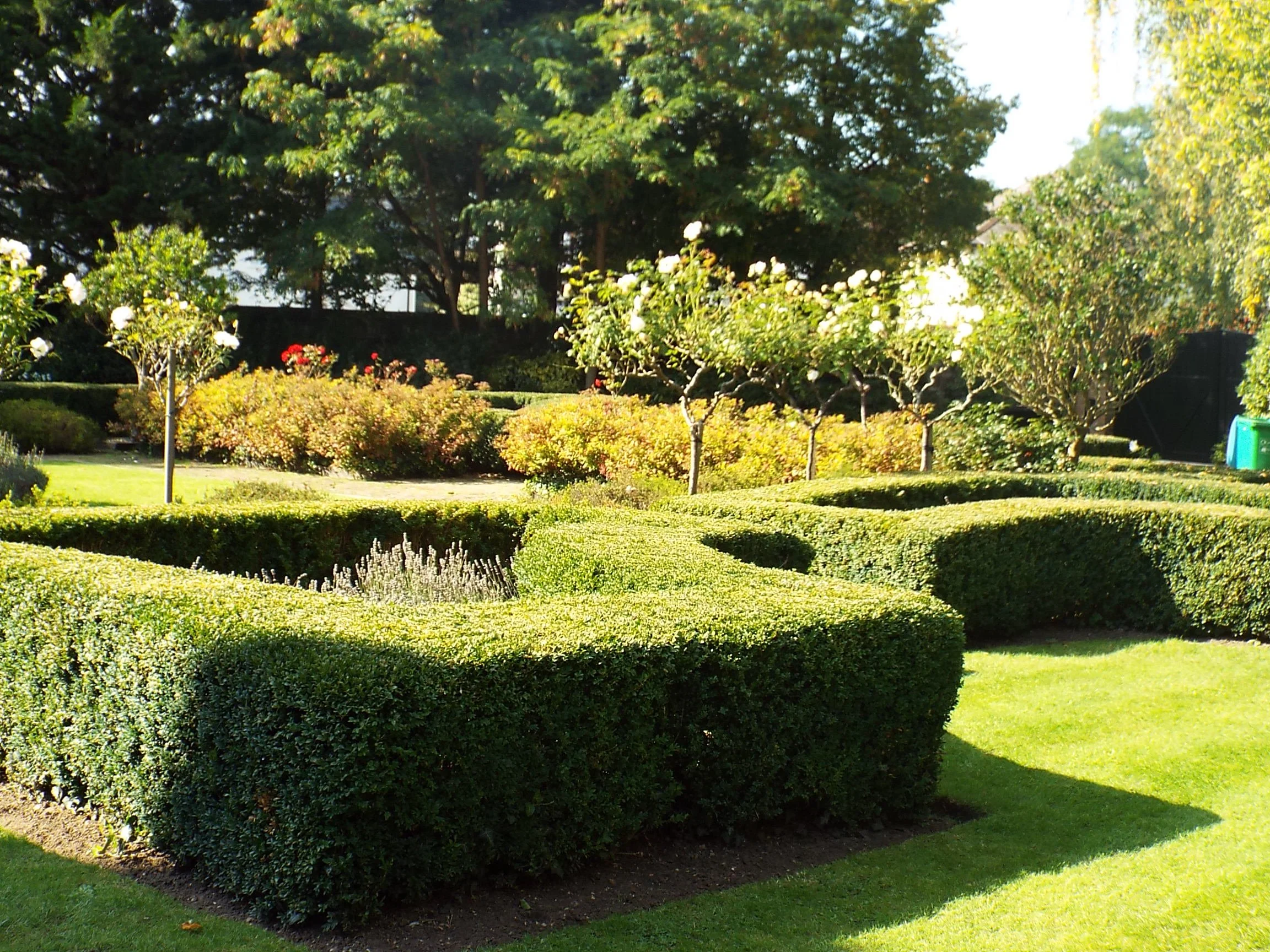 A well-maintained garden with trimmed hedges, blooming rose bushes, several small trees, and lush green grass.