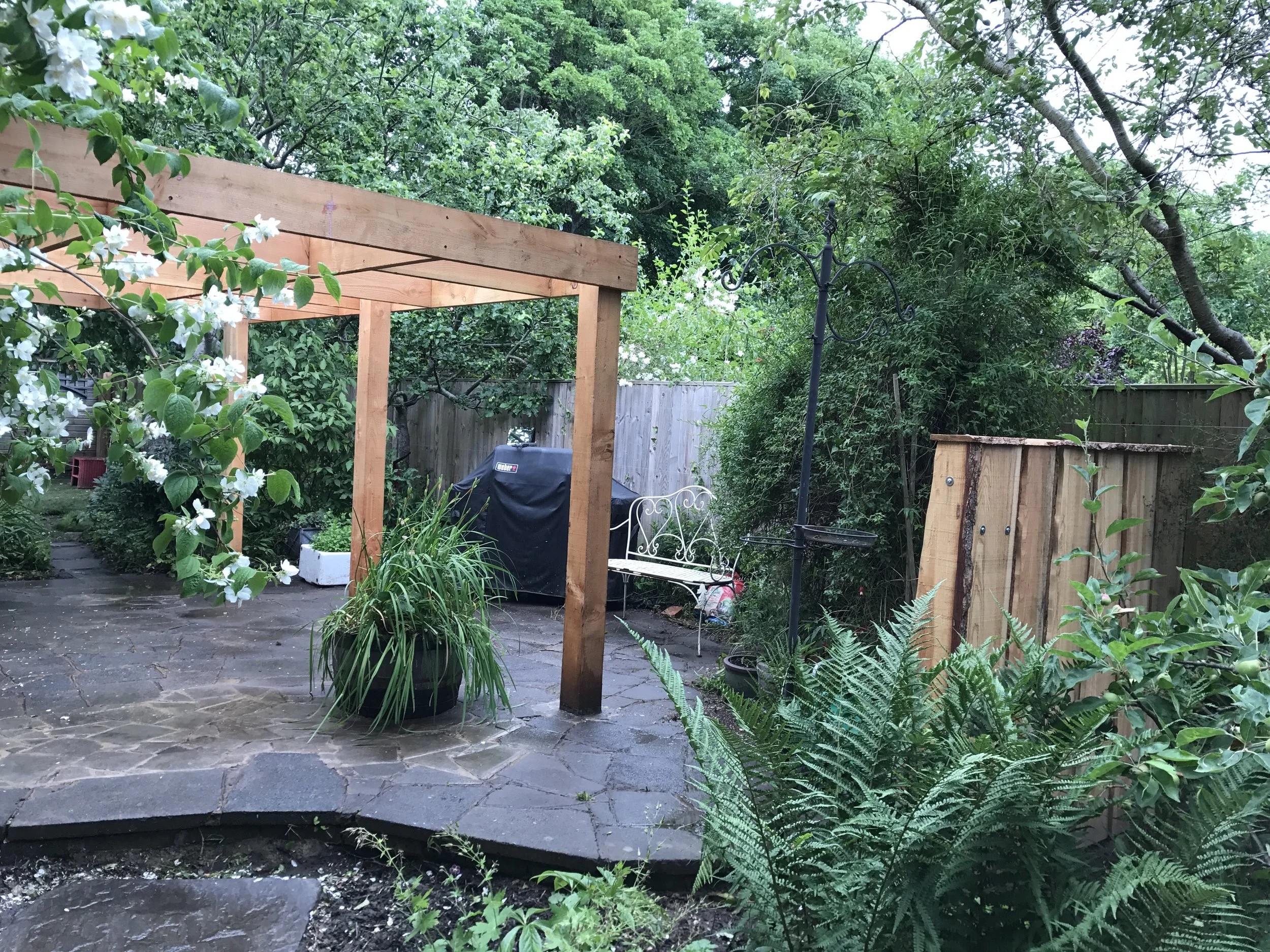 A backyard patio with a wooden pergola, potted plants, a white metal bench, a black barbecue grill, and various green trees and bushes.