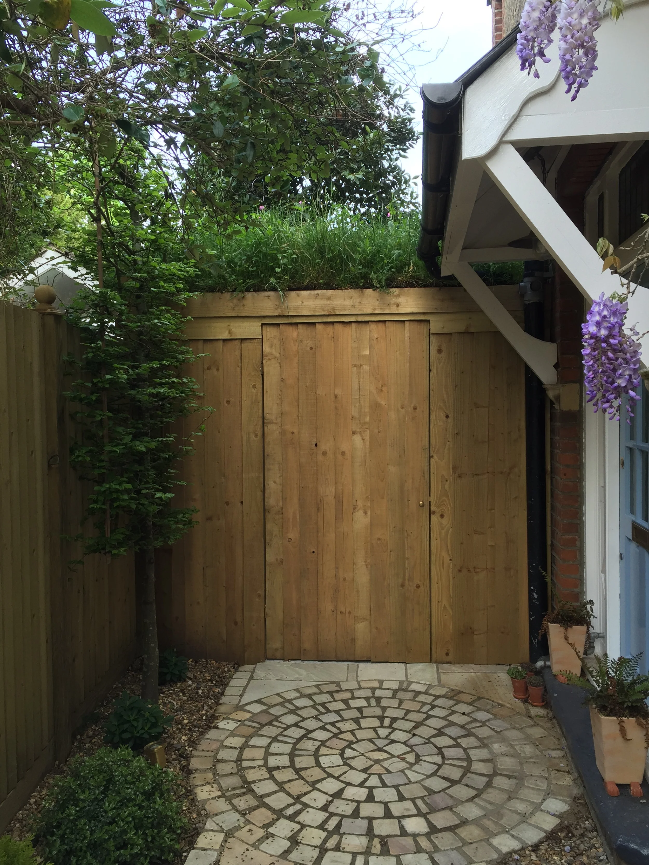 Wooden gate at the end of a small backyard with cobblestone circular pattern and potted plants along the sides, partially covered with a white roof with purple wisteria hanging.