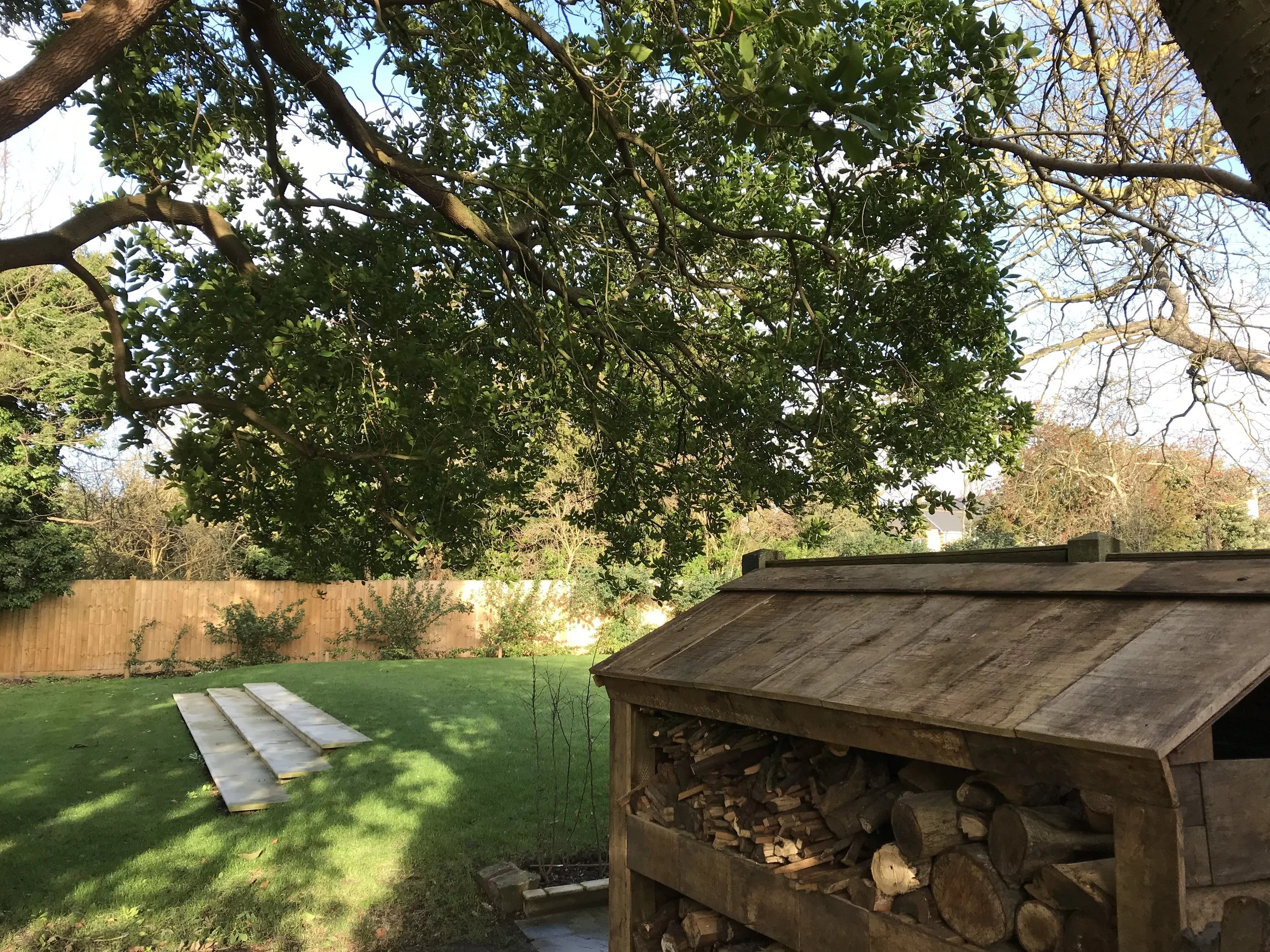 Backyard with green grass, a wooden firewood shed filled with chopped logs, a fence, and trees with some leaves and some bare branches, under a clear blue sky.