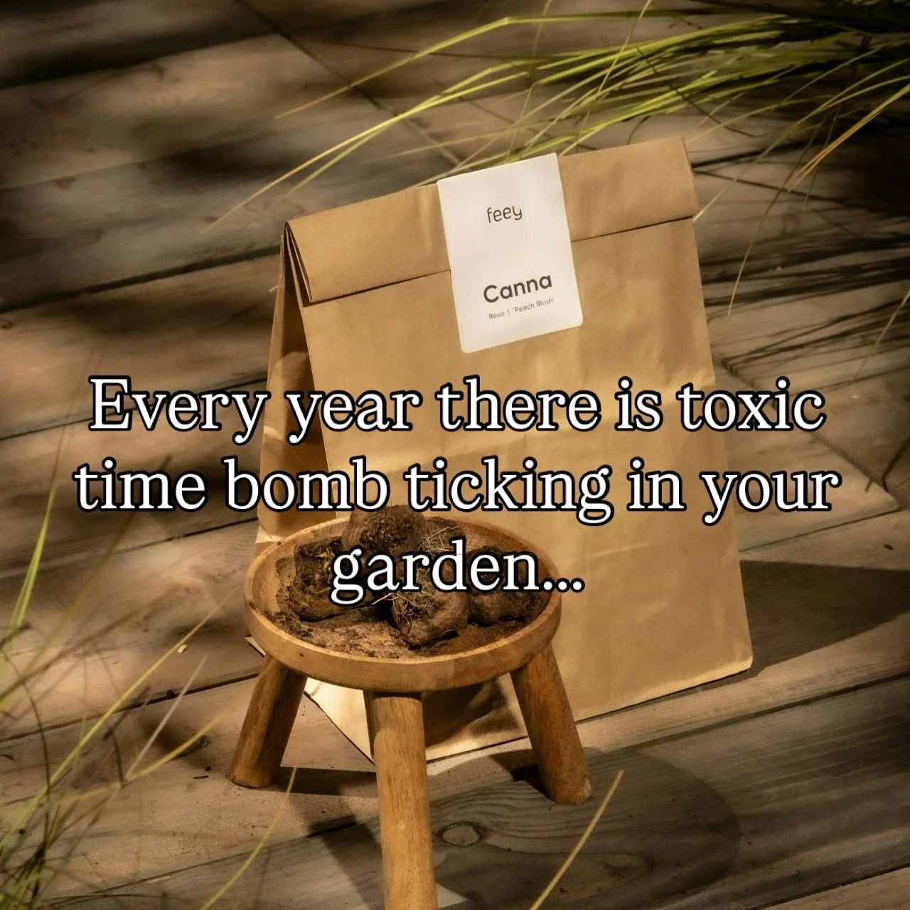 Every year there is toxic time bomb ticking in your garden&hellip;

The spring bulbs you buy in shops are treated with lots of nasty chemicals.

That reduce earthworm populations microbial life in your gardens soil.

They are absorbed into the flower