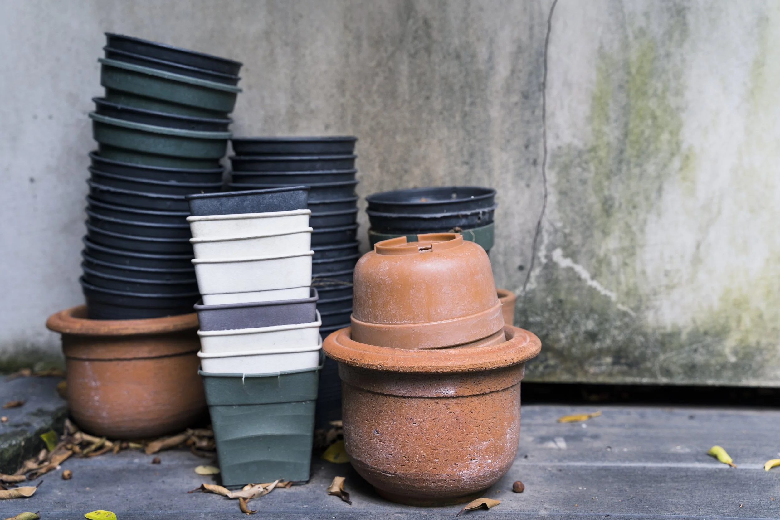 How Green Is Horticulture, Really? The Hidden Plastic Problem in Our Industry