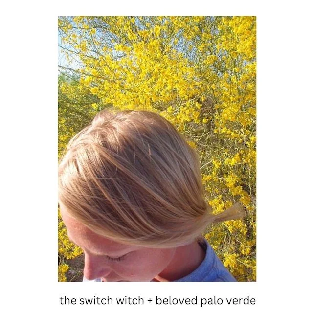 the switch witch + beloved palo verde.jpg