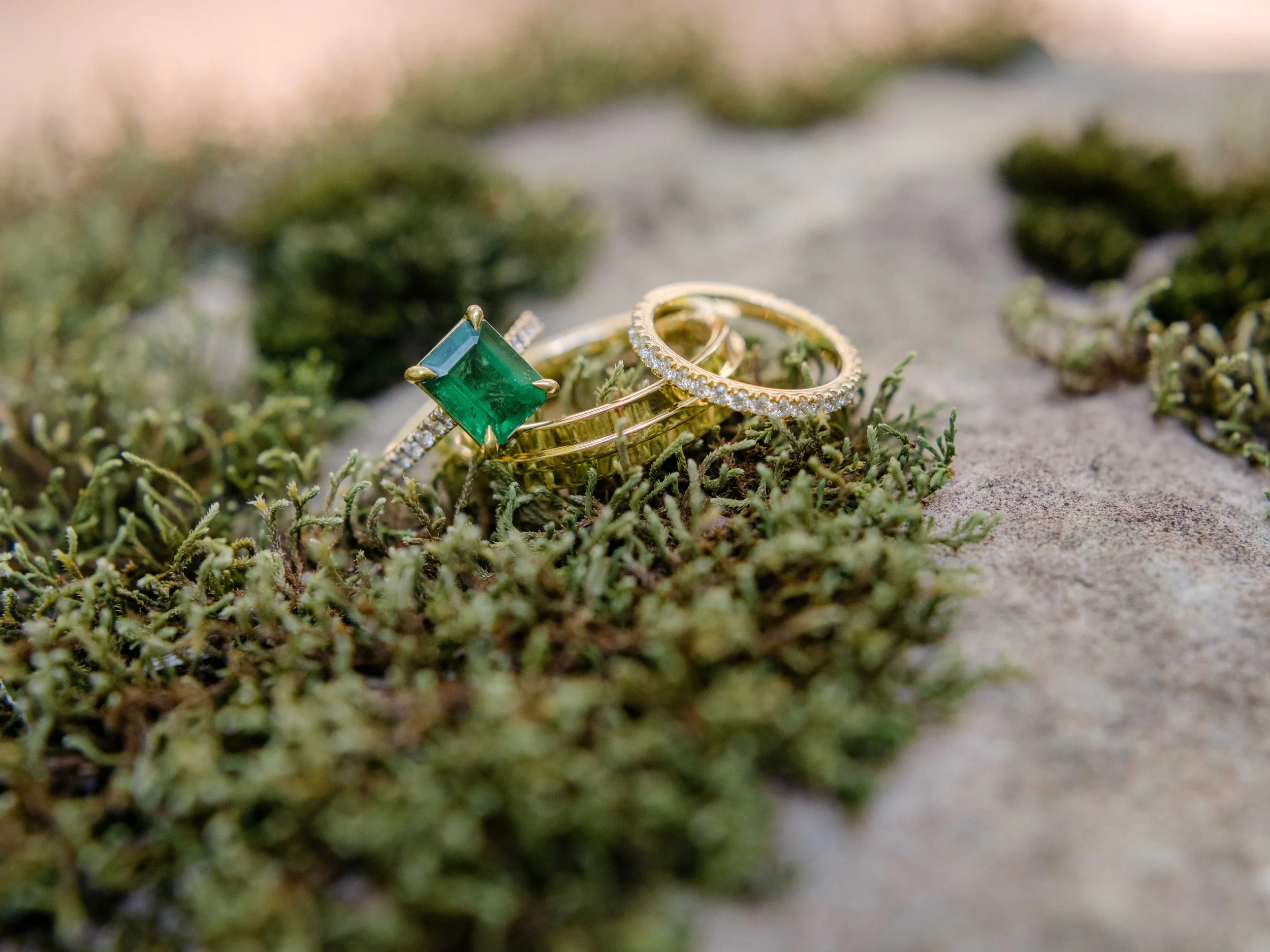 Candlelit Wedding at RT Lodge in Maryville, Tennessee-1.jpg
