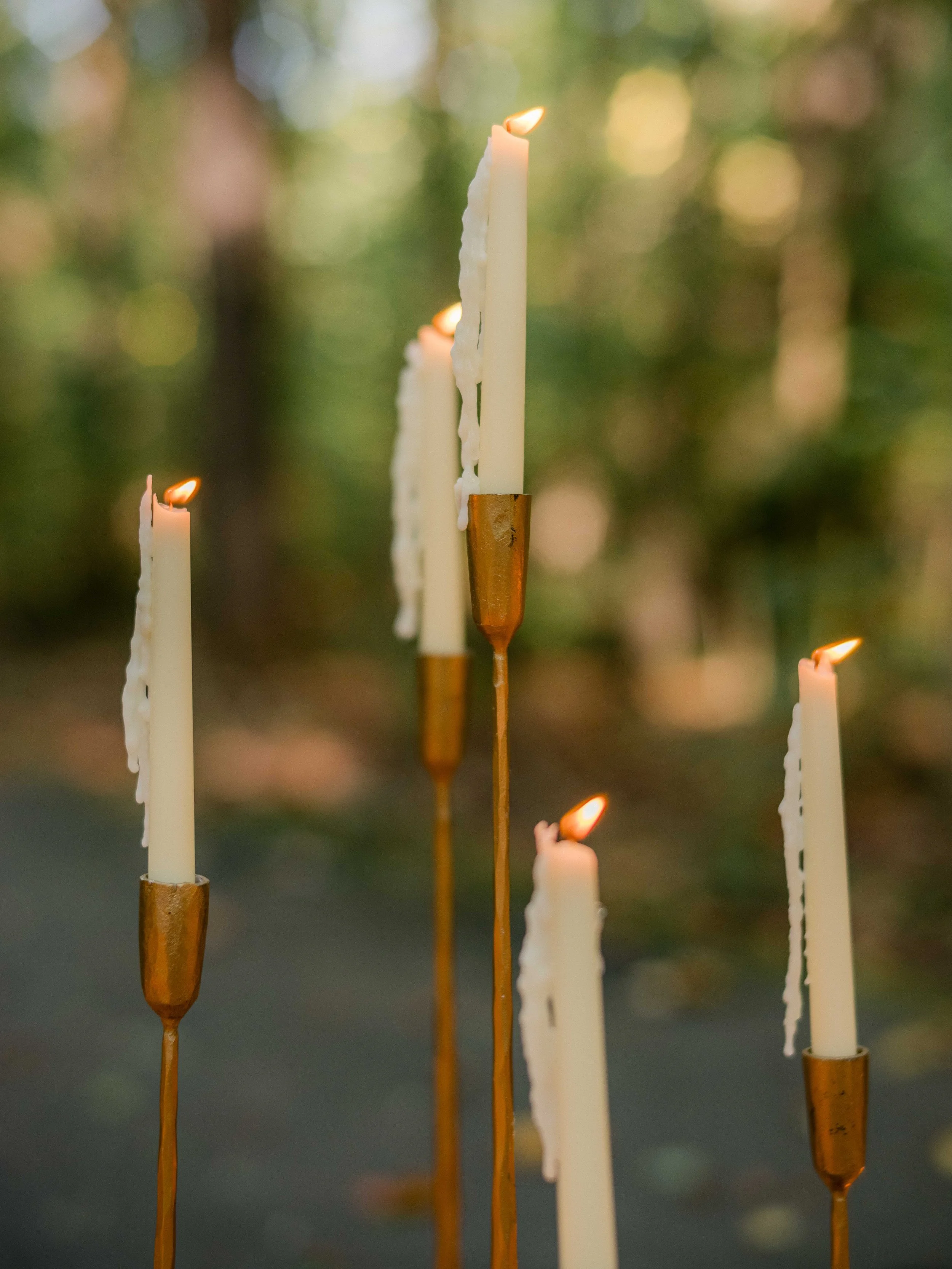 Wedding Details at RT Lodge in Maryville, Tennessee-15.jpg