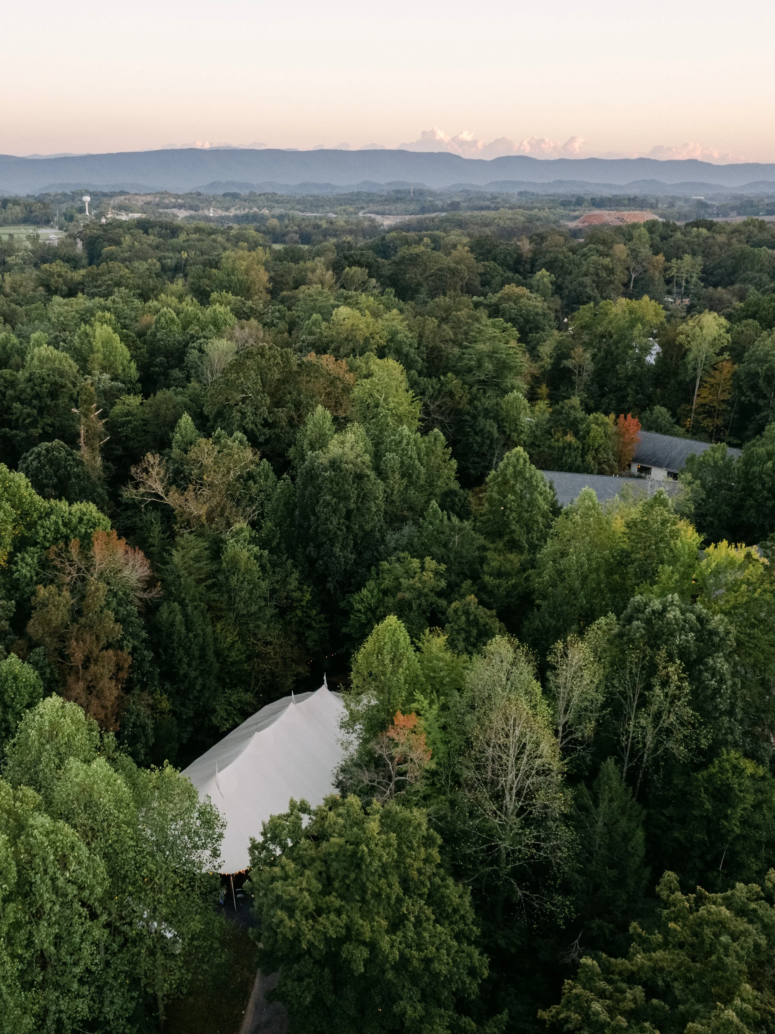 An aerial view of a lush green forest with a white tent at the bottom, and mountains in the distance under a pale sky.