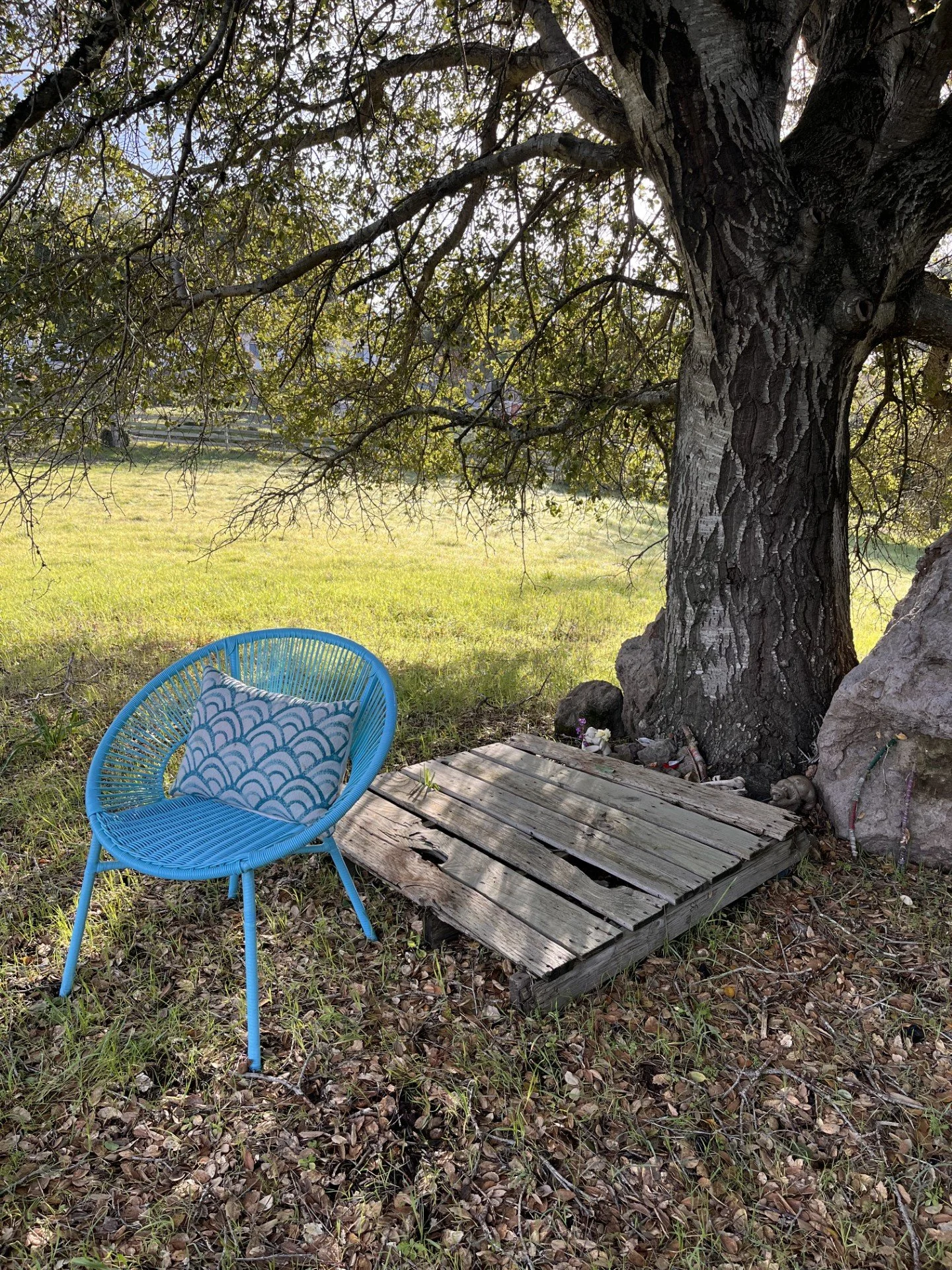 A blue outdoor chair with a patterned pillow next to a large tree with a wooden pallet on the ground, in a grassy outdoor area.