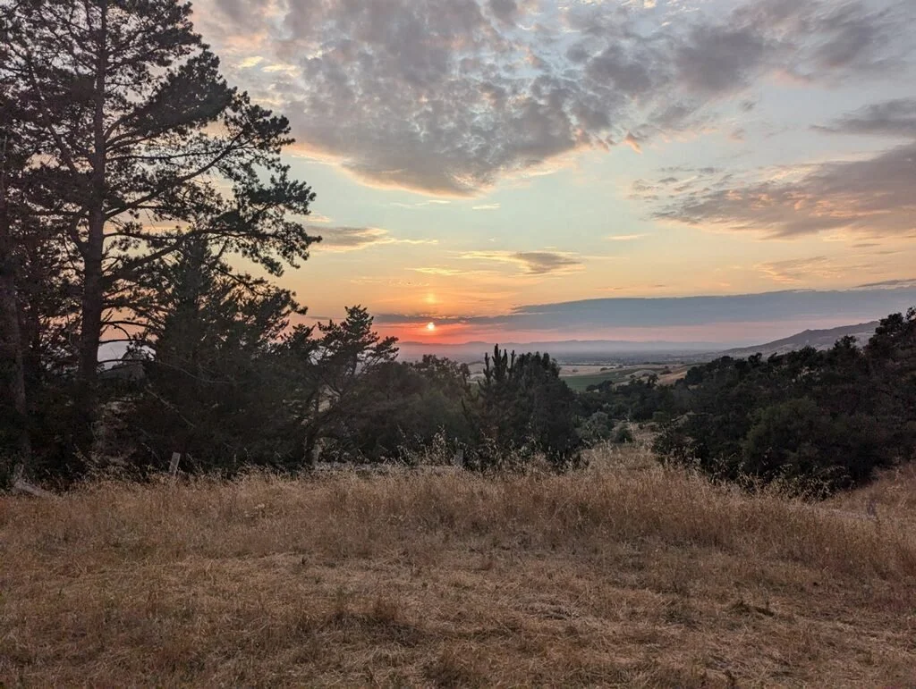 Sonoma County, CA Landscape view of the setting sun over a horizon of trees and distant hills with a partly cloudy sky.