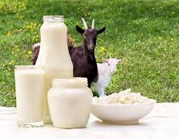 Why Real Goat Milk Makes All the Difference
