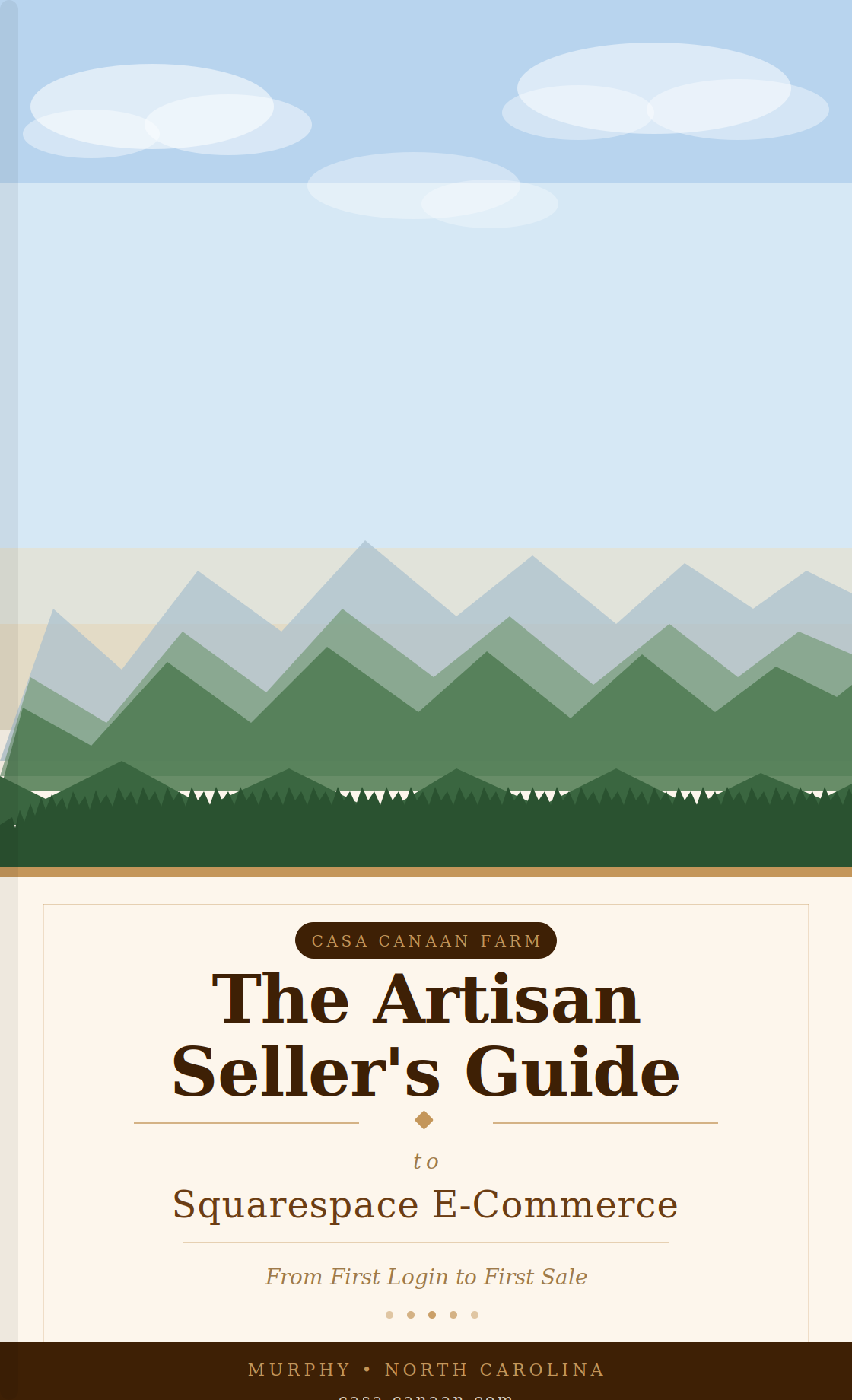 The Artisan Seller's Guide to Squarespace E-Commerce: From First Login to First Sale