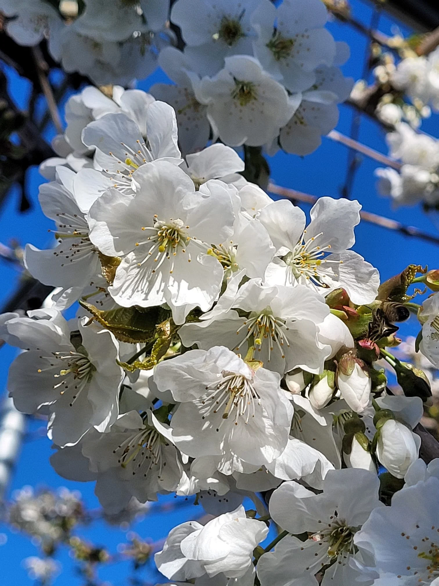 e1a5e945-a769-49e8-b752-93542e0150f9 2.JPG