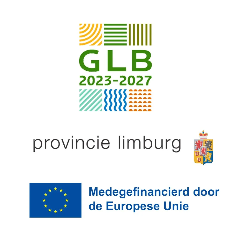 afbeelding subsidie kopie.jpg