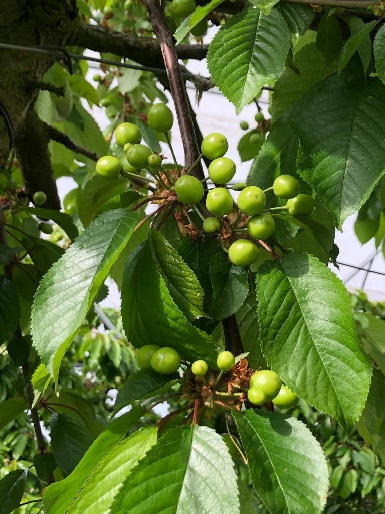 e414ada8-c32b-4cbb-8eea-22b20c2e8639 2.JPG