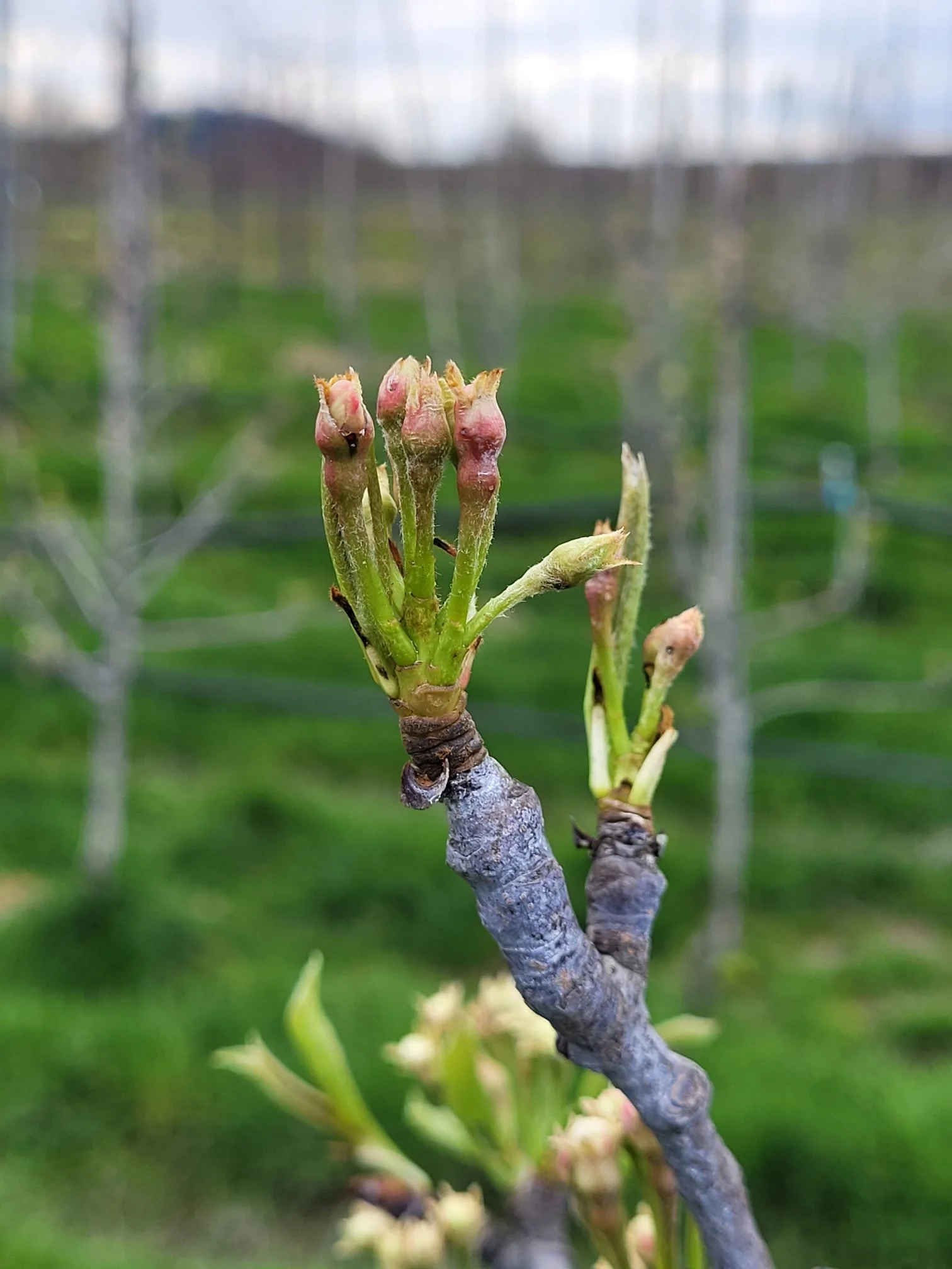 d6fc6b02-3790-4543-b39e-bac9264ca888 2.JPG