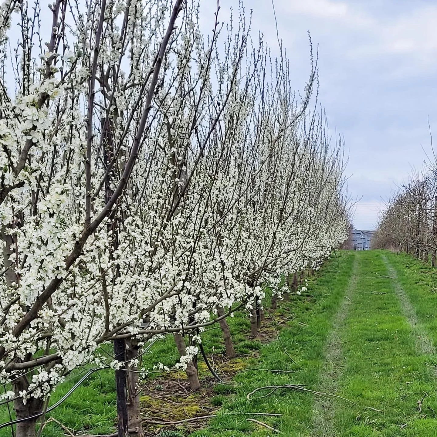 790569CB-FC17-40A6-9B1A-0C66FBC4CFAB 2.JPG