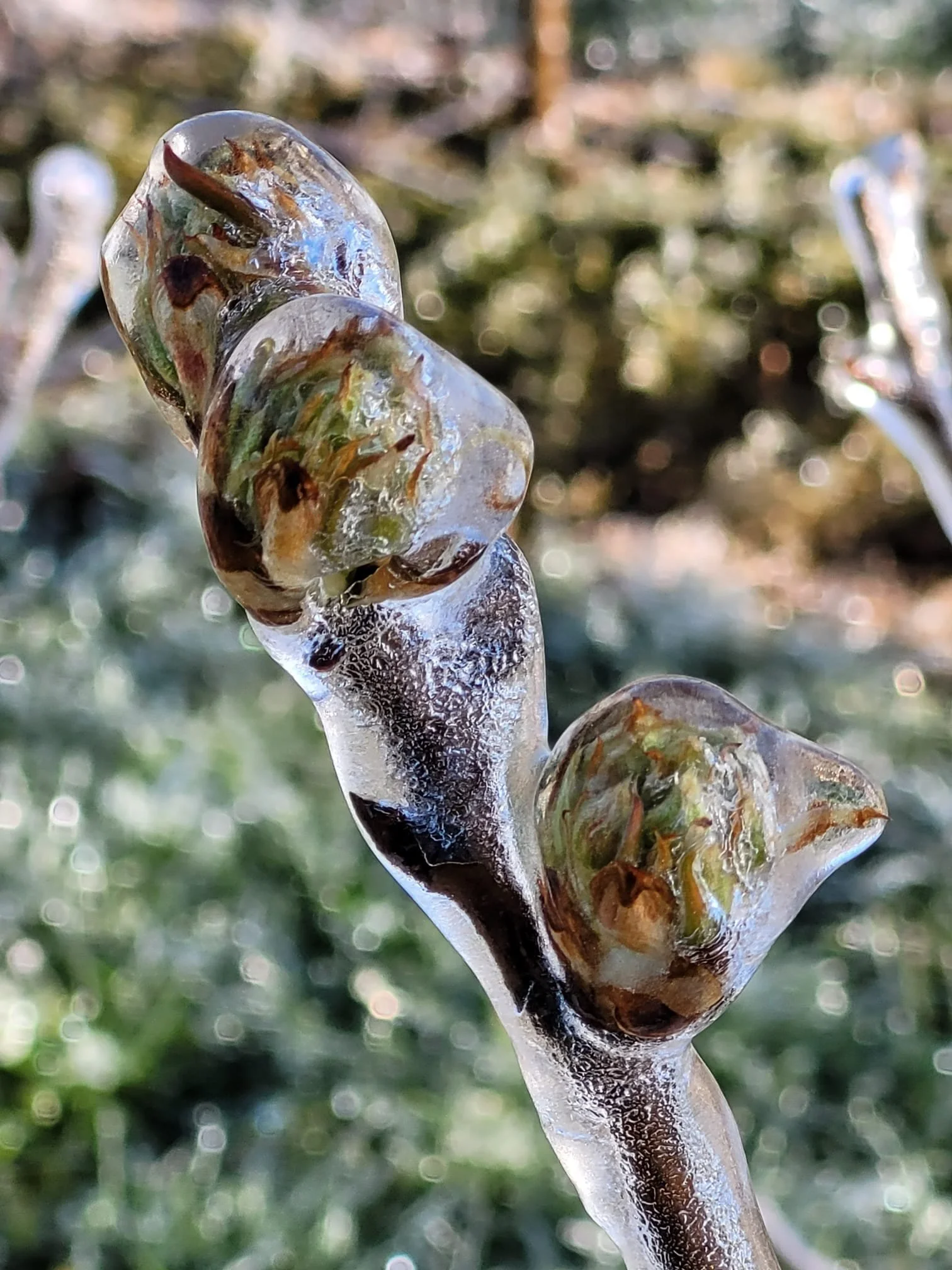 81969ff3-2422-4f52-99a6-958876df5e69 2.JPG