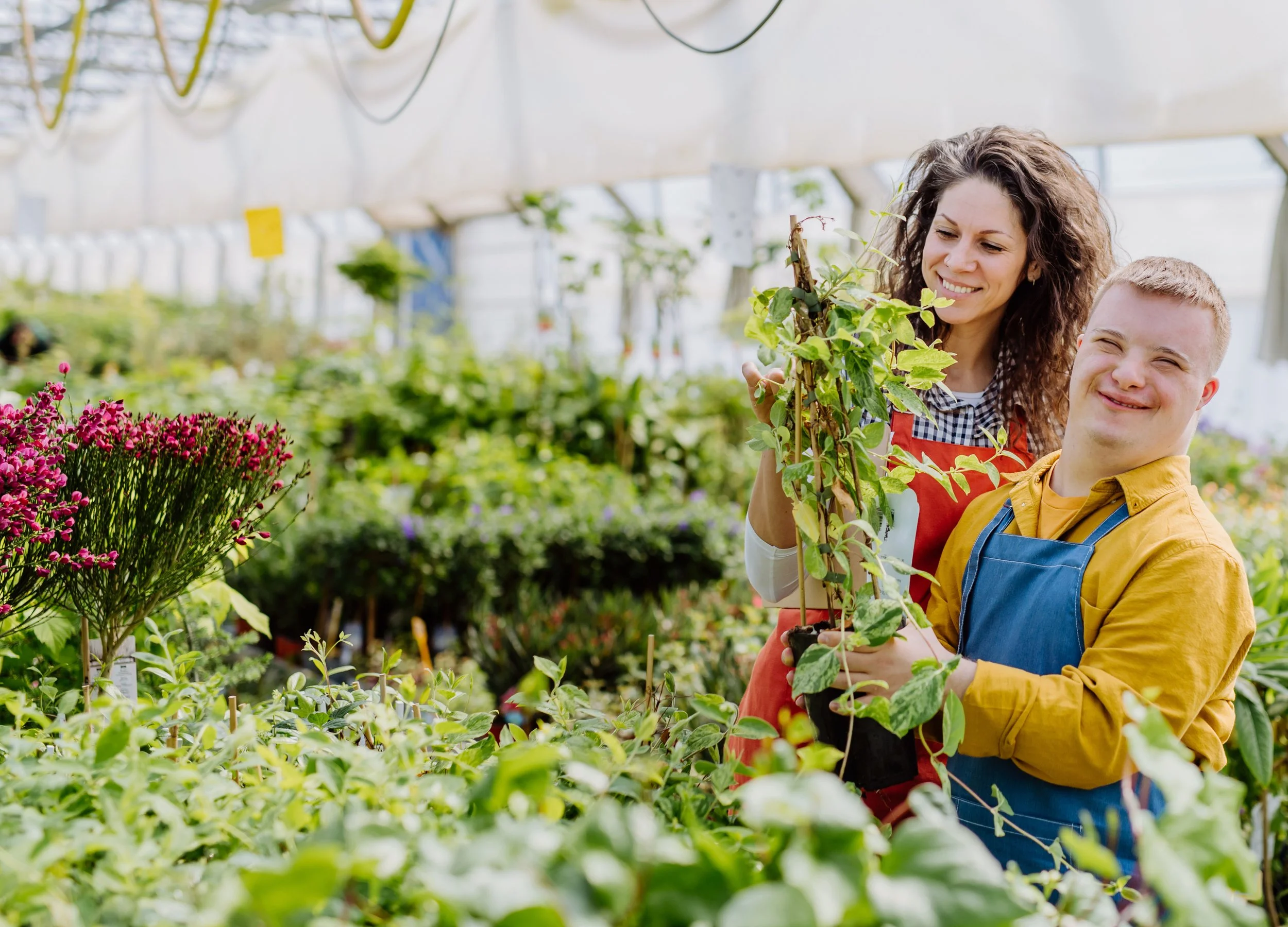 people in green house.jpeg