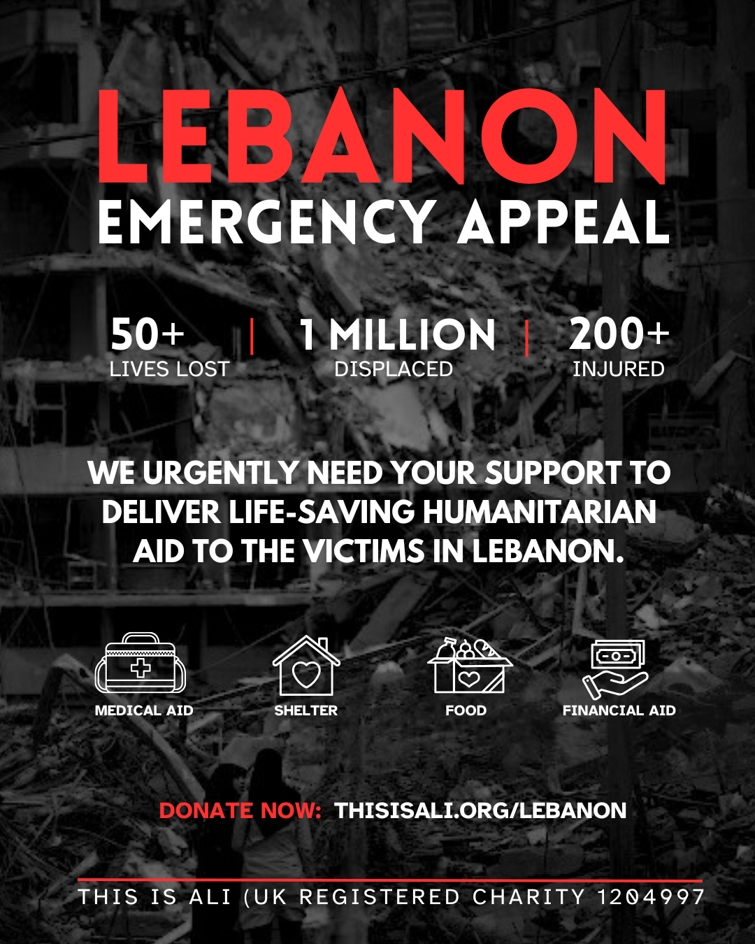 LEBANON EMERGENCY AID.png