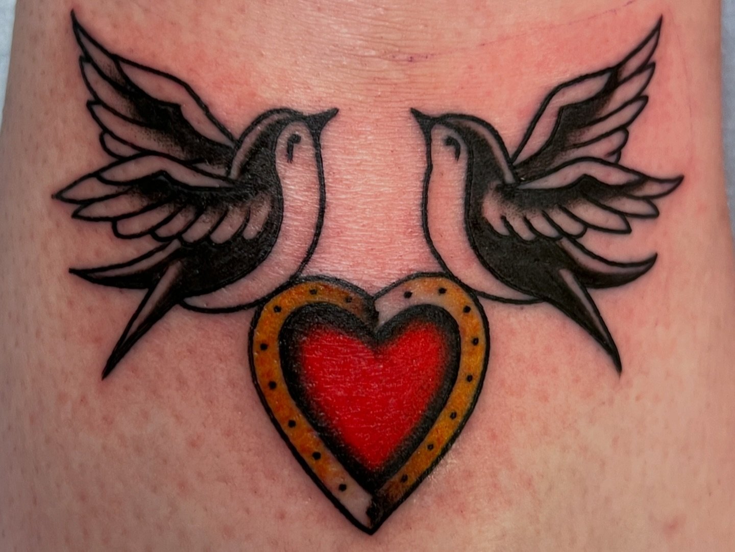 Swallows under the knee for Chey❤️ 
thank you so much for your trust on these, it&rsquo;s always great to have you in my chair! 

⭐️ Made @lucky_dragon_tattoo ⭐️