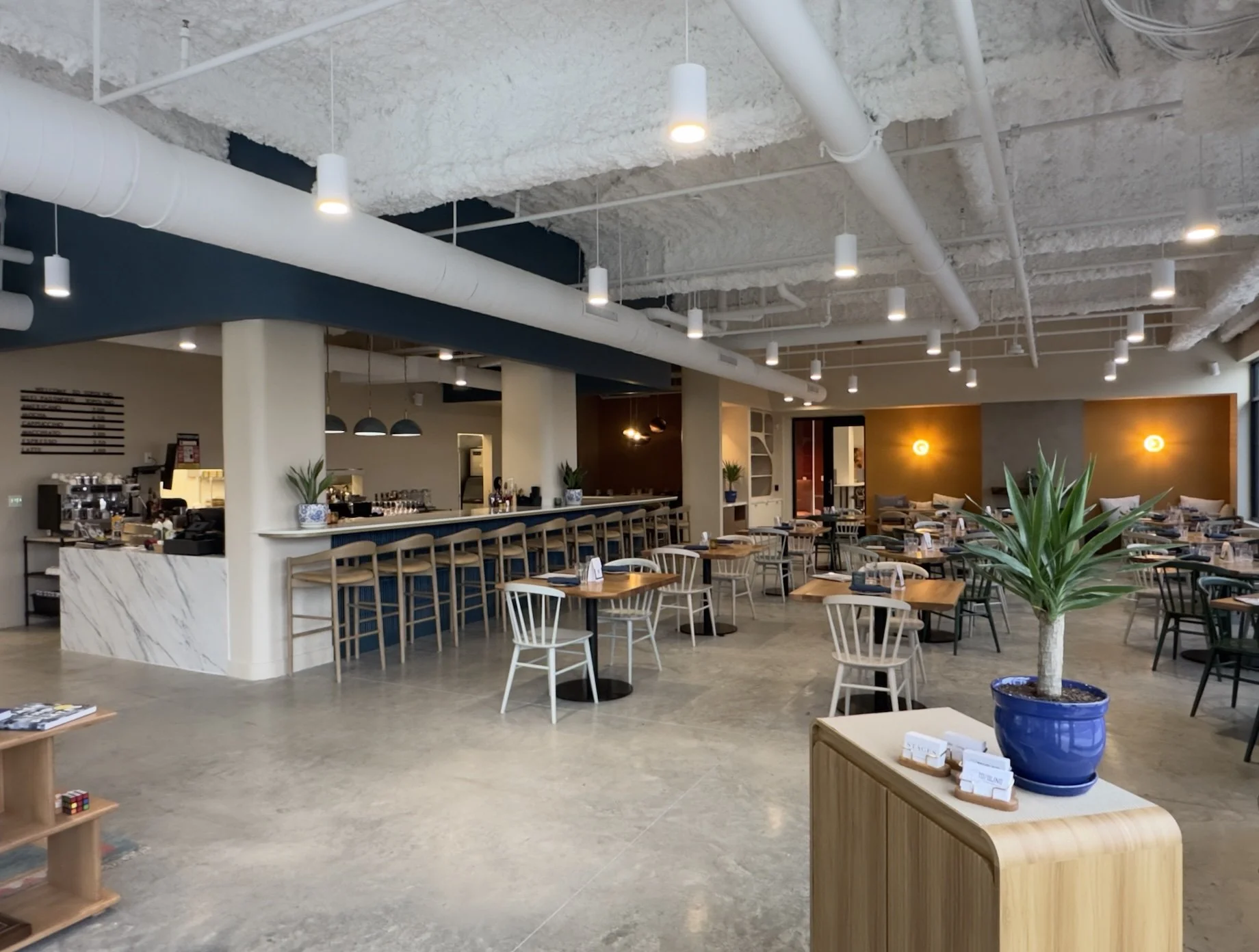 Topo- web shot.jpg