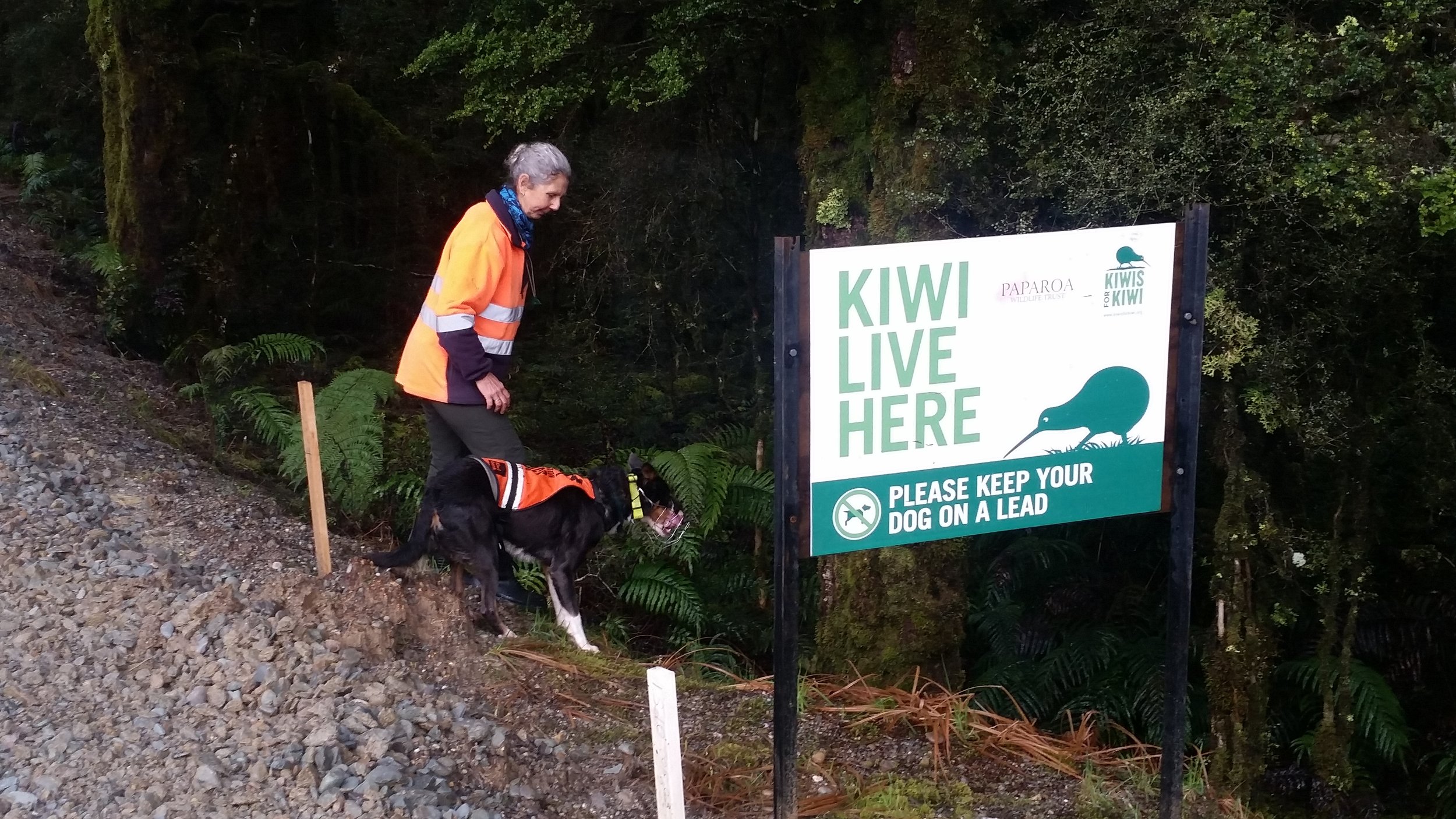 Lynn and conservation dog Mica on Croesus Road