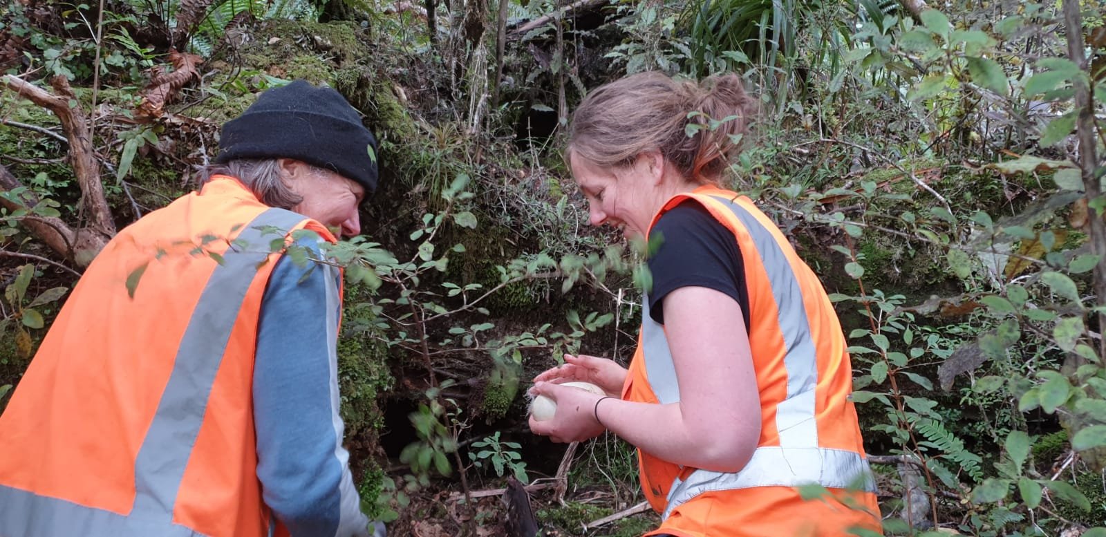 Jo Halley and Kristy Owens collecting a kiwi egg for ONE