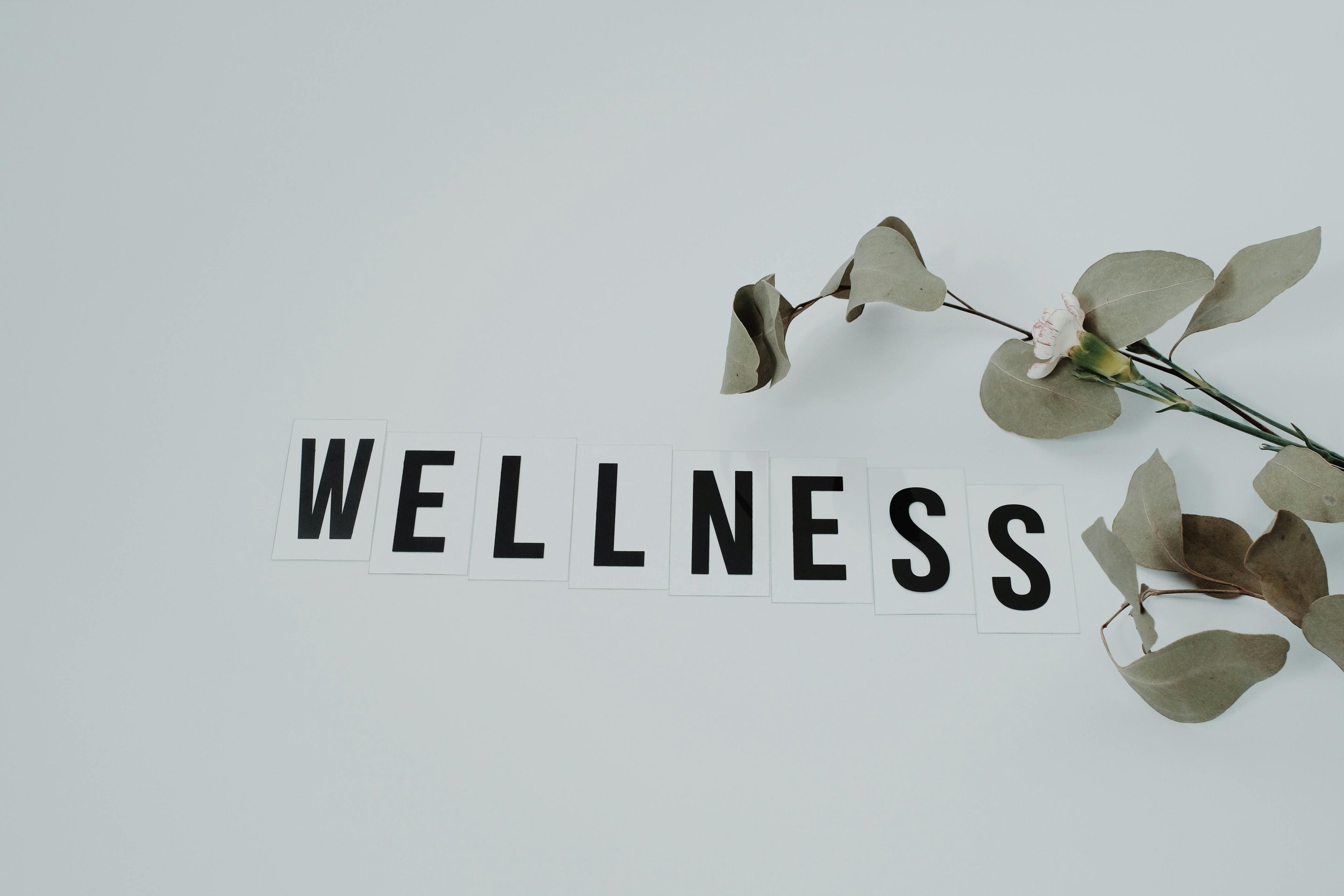 Exploring the 8 Pillars of Wellness