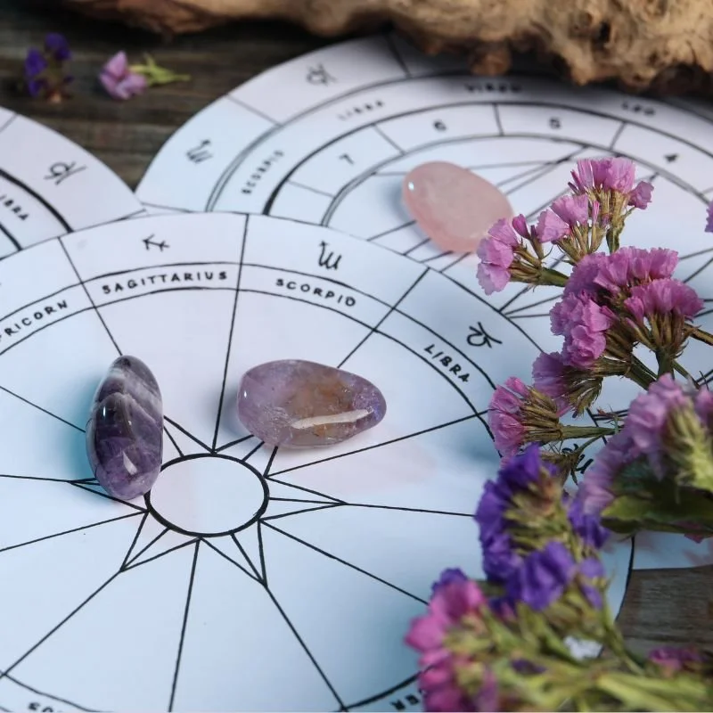 ASTROLOGY OF 2026: METAMORPHOSIS IN MOTION WORKSHOP