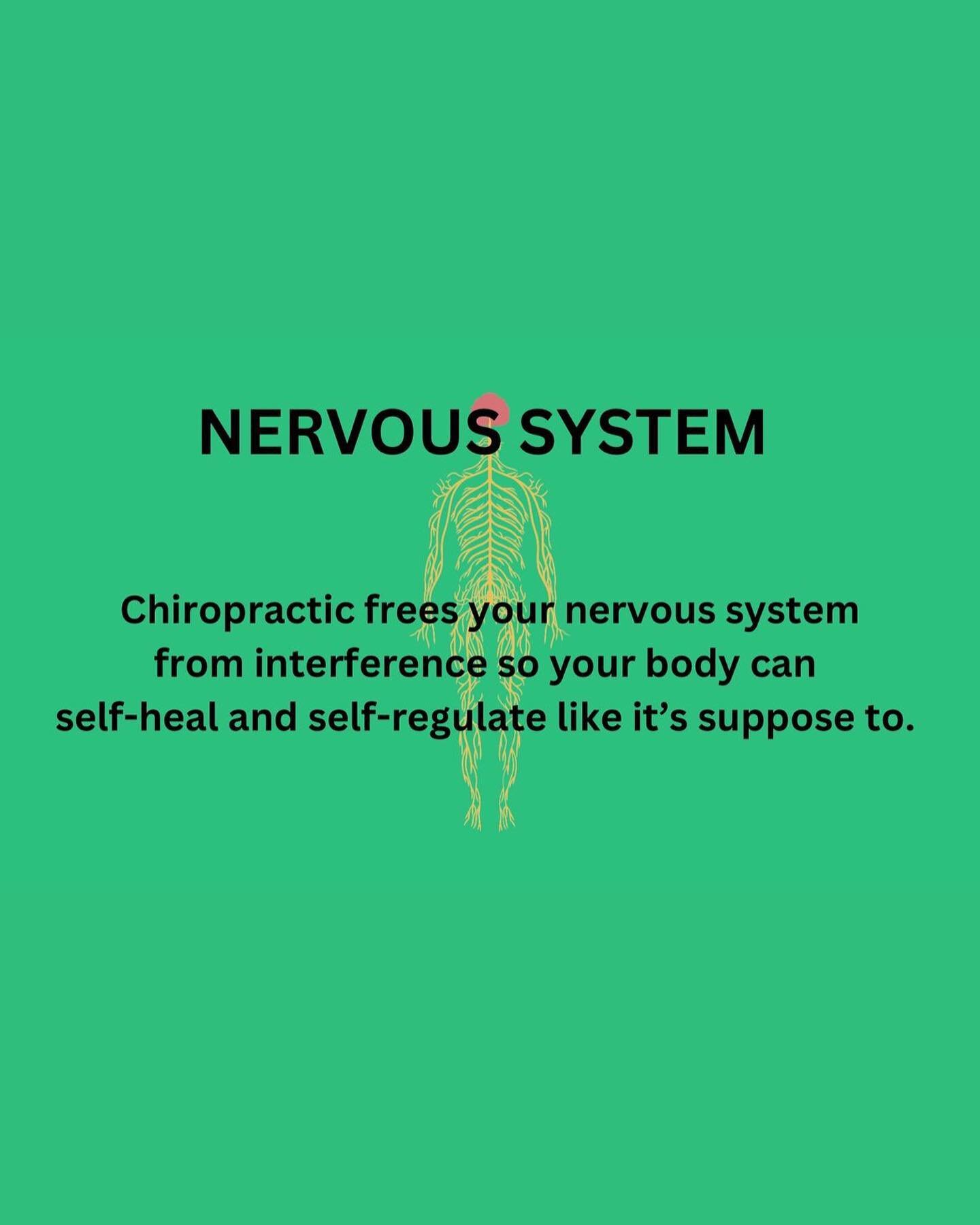 #nerve #nervous #nervoussystem #chiropractic #chiropractor #health #free #subluxation #adjustment