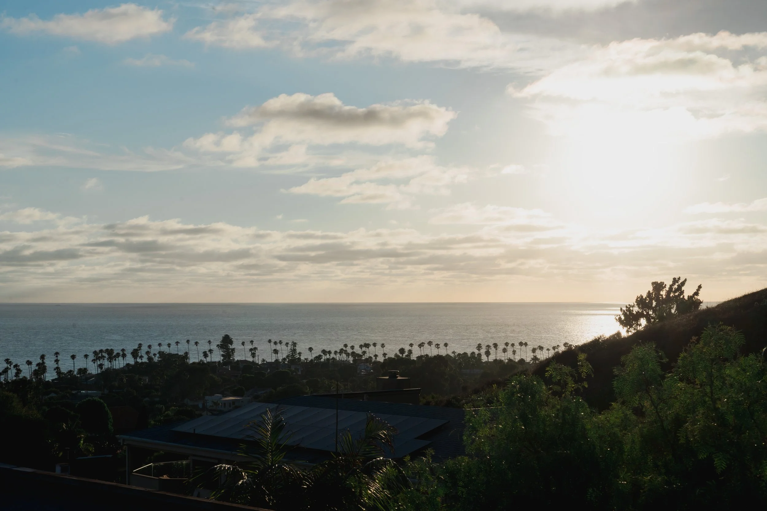 Dr. Chu's Tenure Party