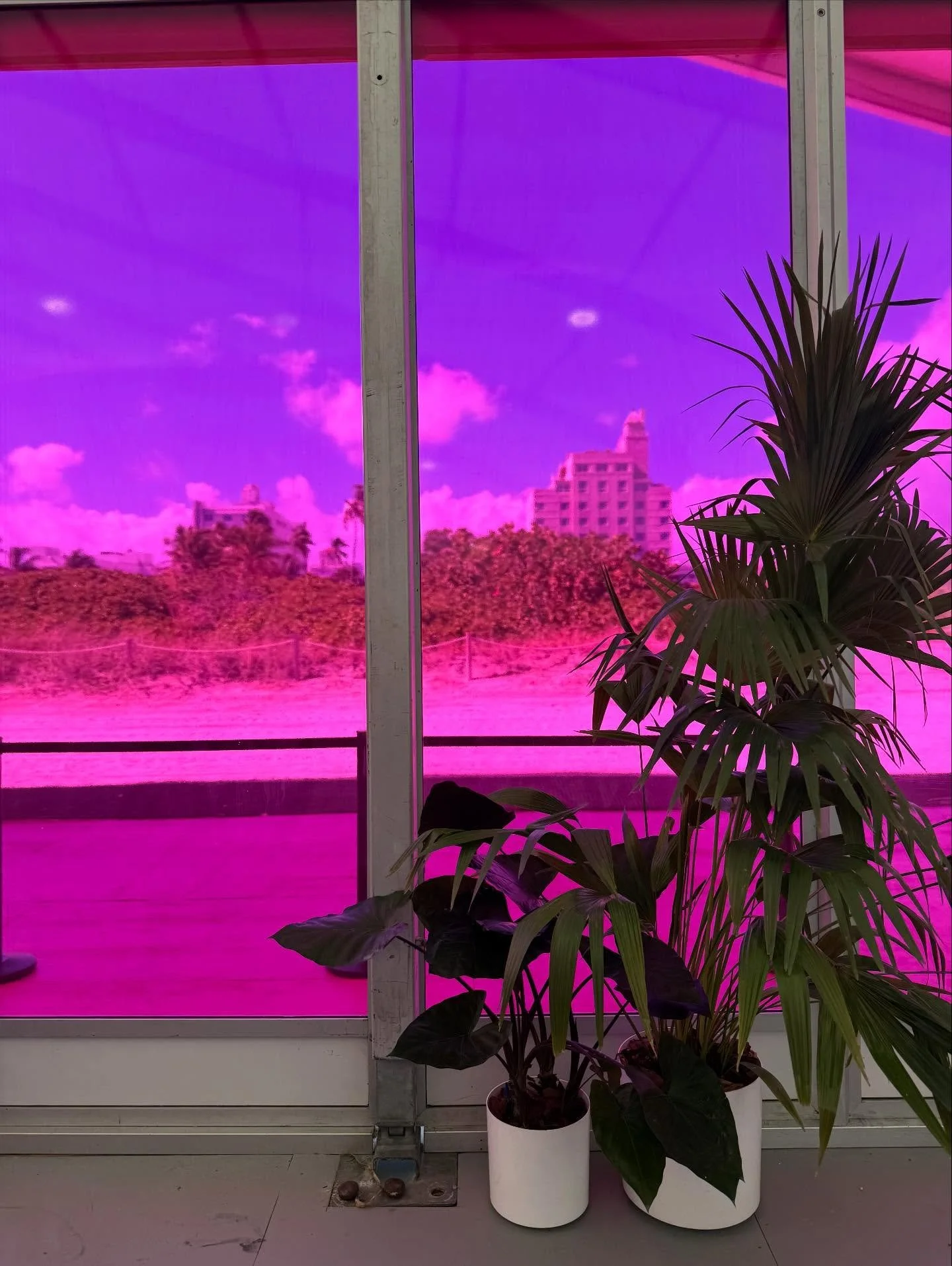 Art Basel Miami Beach 2025&hellip;

A walkthrough of the Thomas Houseago @thomas_houseago_studio_ show at the Rubell @rubellmuseum  with the artist

Sam Moyer @sammemoyer at YoungArts @youngarts

Lindsey Lou Howard @lindseylouhoward at the Jeffrey De