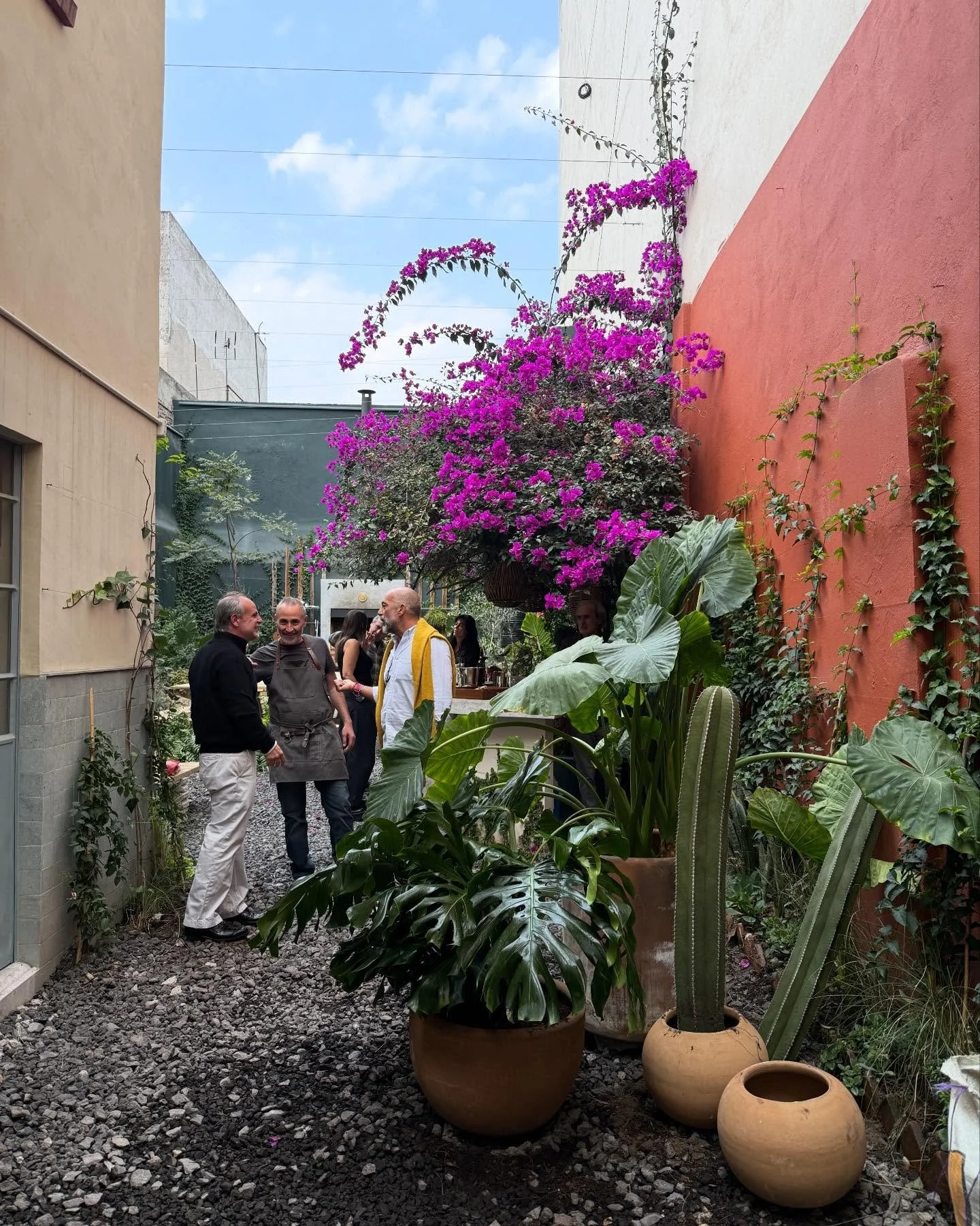 Luz y color:  la semana pasada a Zona Maco @zonamaco y Mexico City Art Week 2026

&ldquo;Soft launch&rdquo; of Tacos Tokio @tacostokio 🌮😋

At Zona Maco - Miguel Calder&oacute;n at kurimanzutto @kurimanzutto, Guillermo Garc&iacute;a Cruz @guillegarc