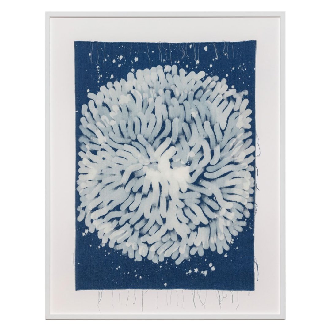  PIA CAMIL  Azur Study No. 2 (Anemone) , 2022 Bleached denim 