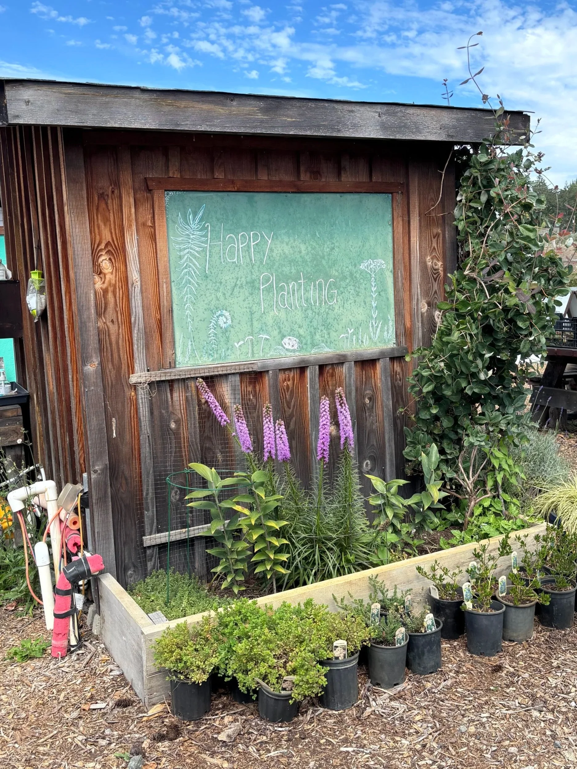 20260619_Cowichan+Green+Community_7.jpg