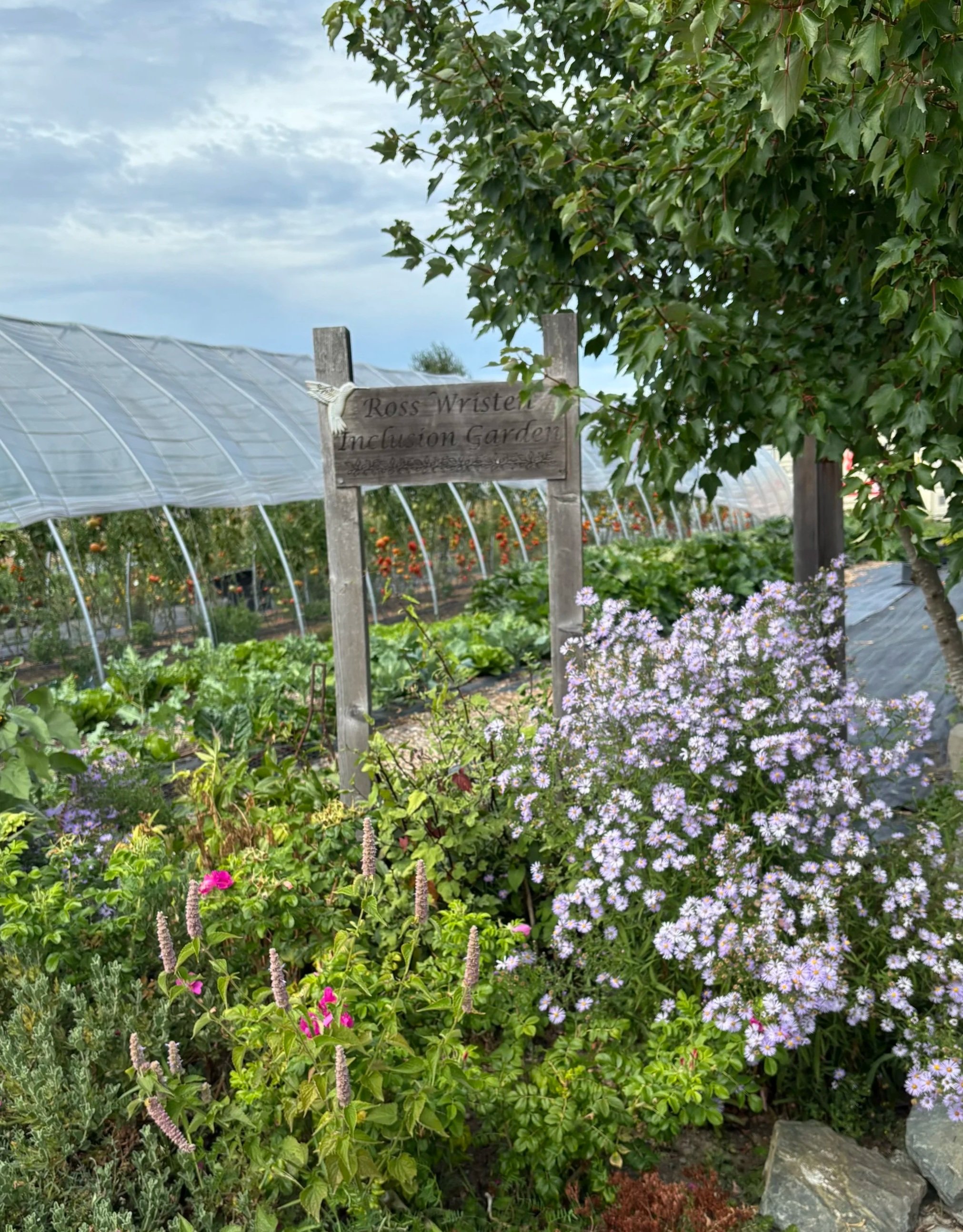 20260619_Cowichan+Green+Community_2.jpg