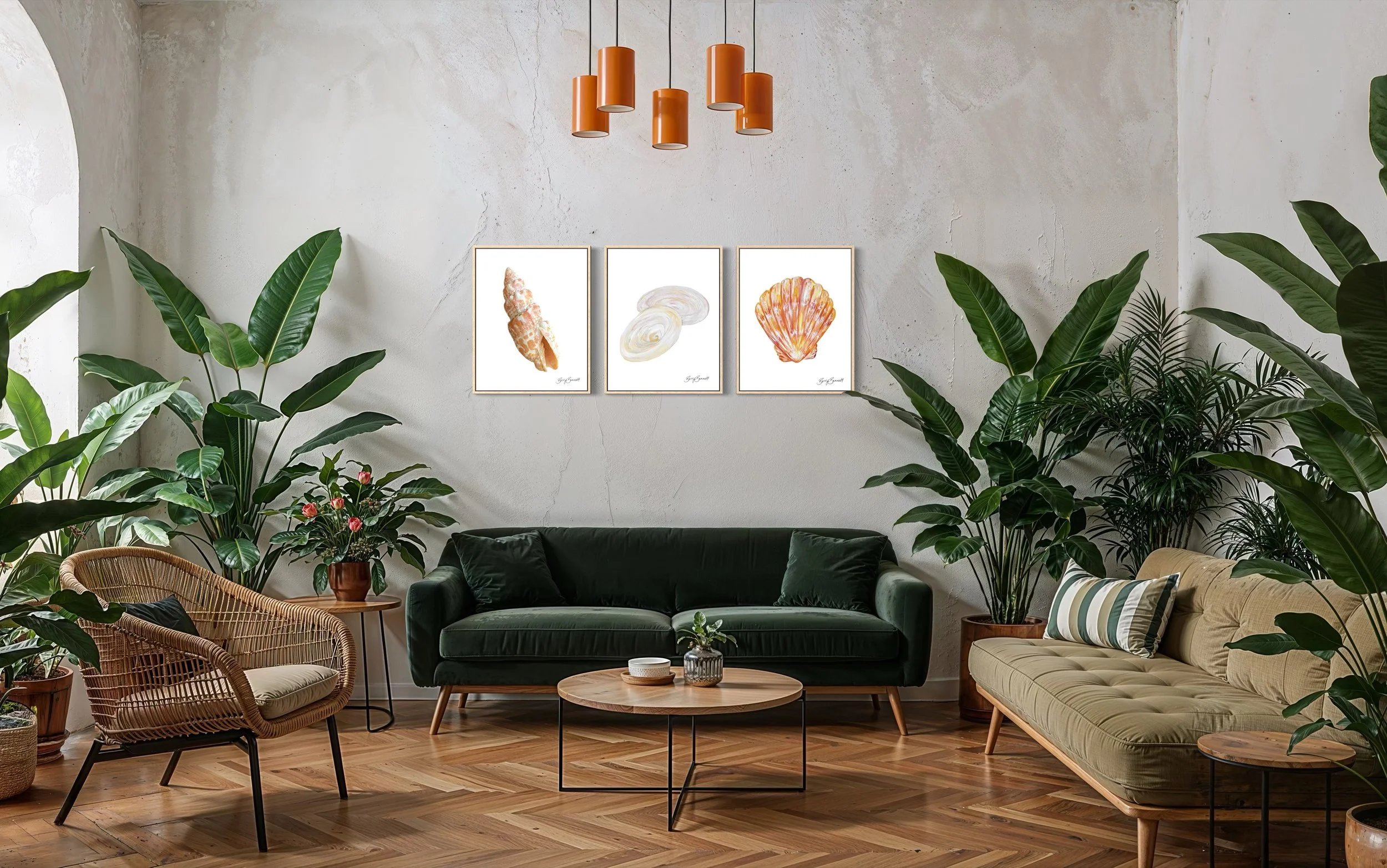 Miter, Pukas II, & Sunrise Shell