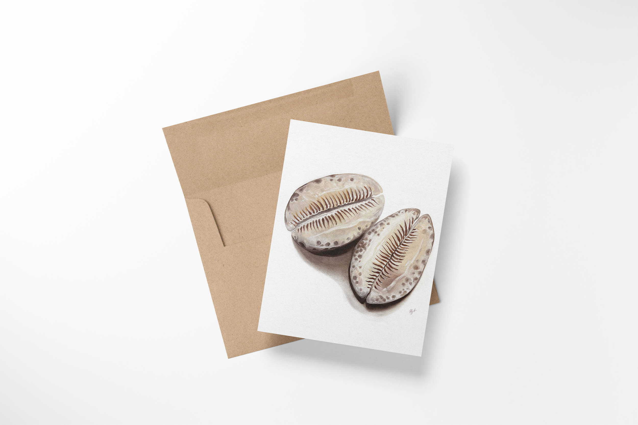 Mockup_Note Card_Cowries.png