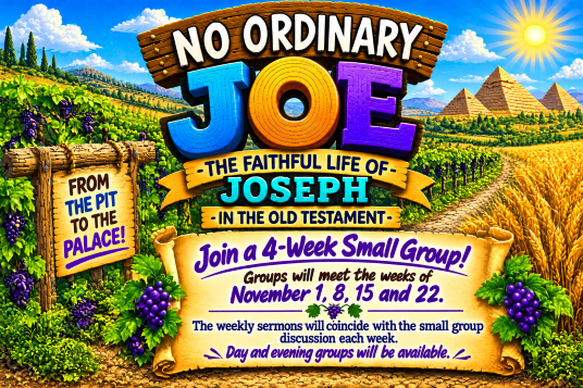 Ordinary Joe 2.PNG