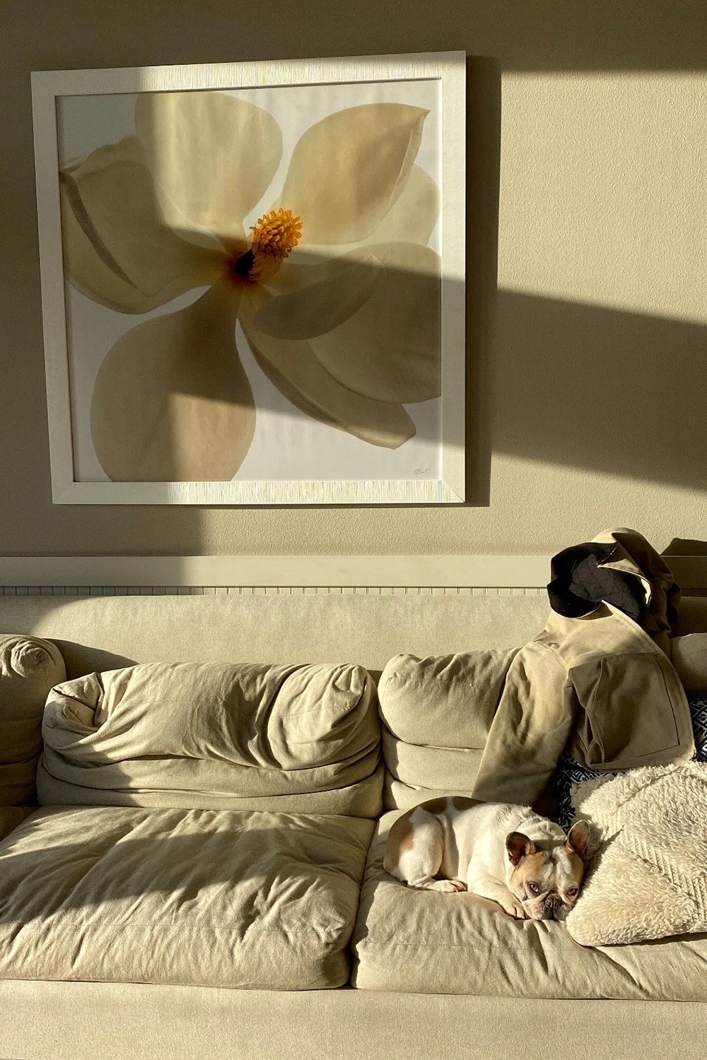 5 Ways to Design a “Cozy” + Sustainable Living Room This Fall — The ...