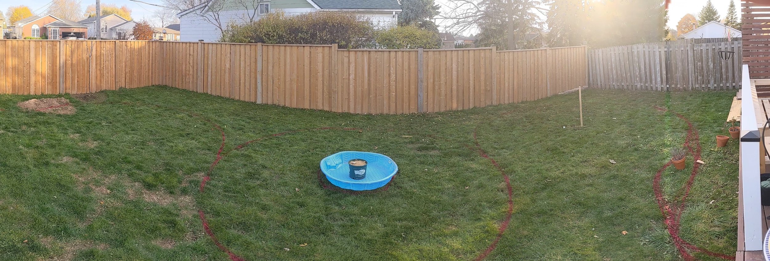 backyard-afterfence-before.jpg