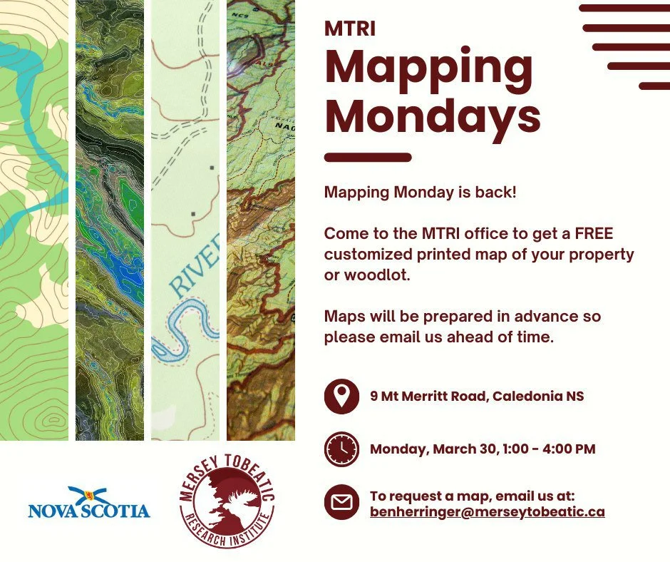 MTRI Mapping Mondays