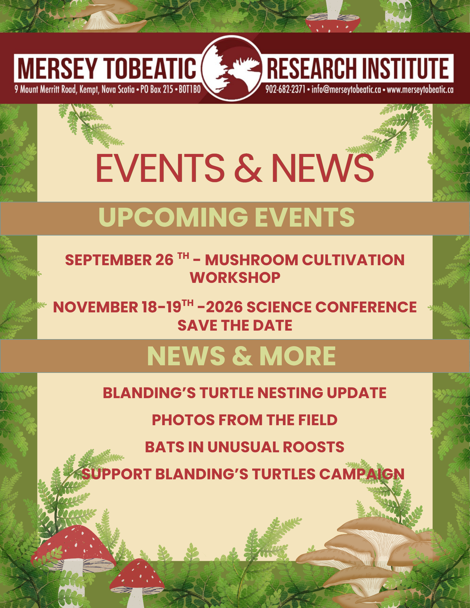 MTRI late summer 2026 newsletter