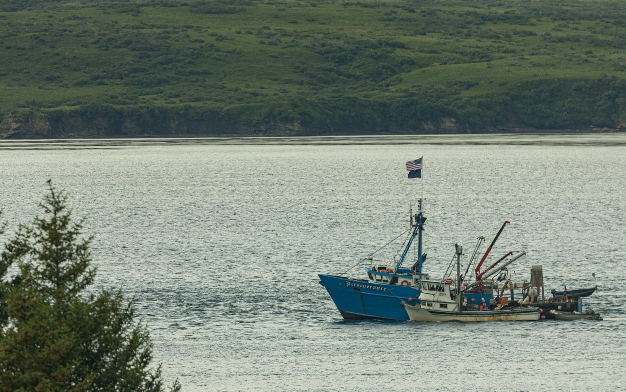 Fishing boat delivering it's catch to a tender. 