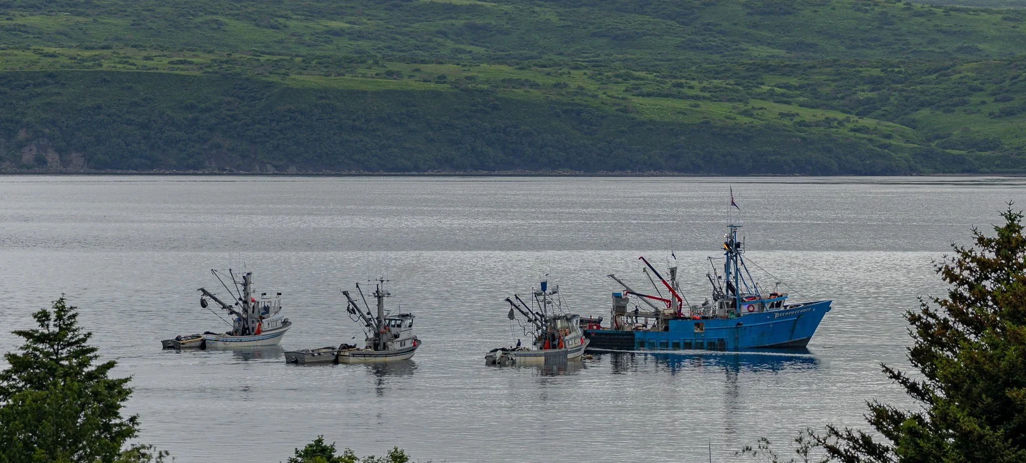 Fishing boats delivering their catch.