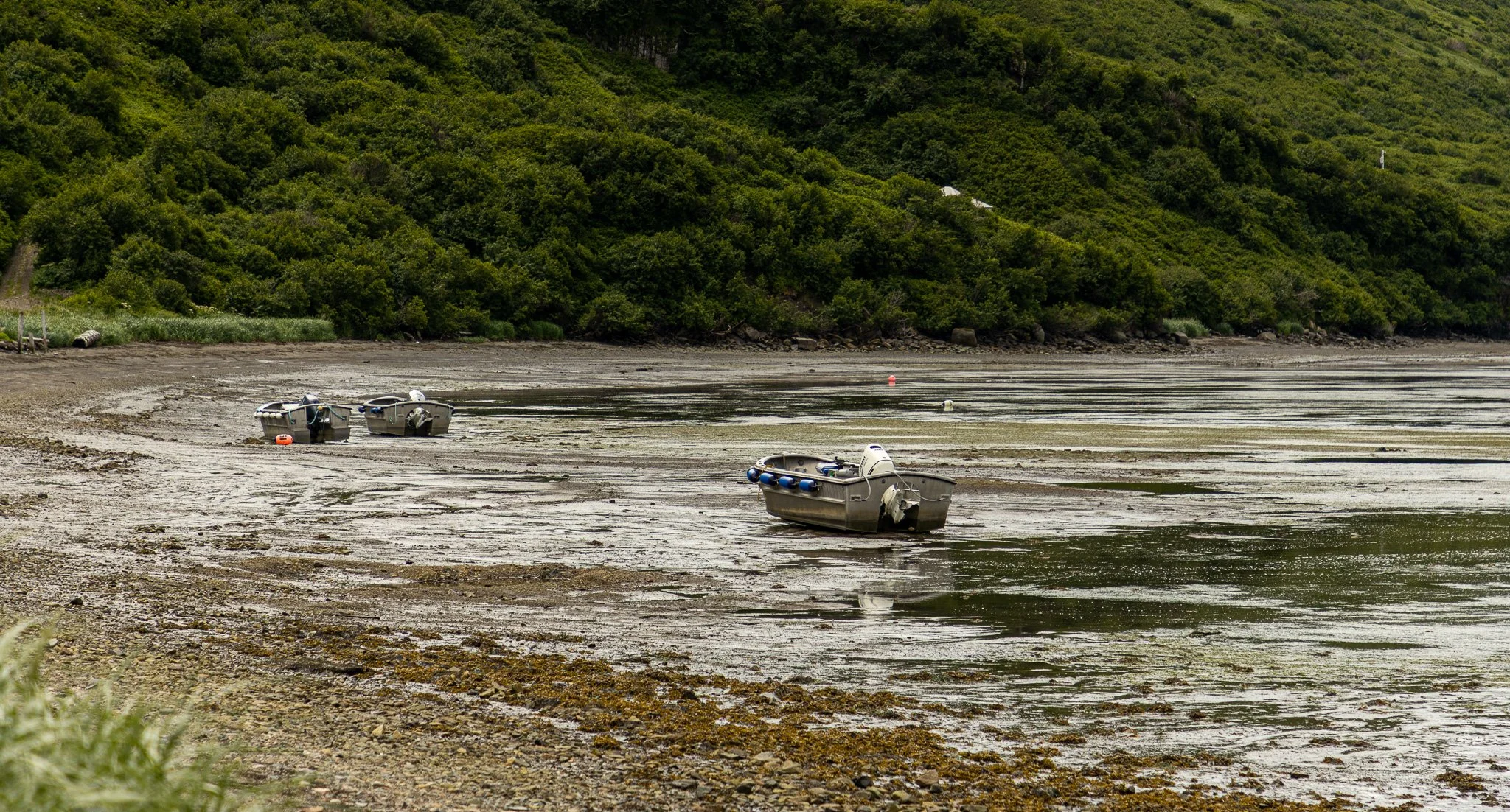 Skiffs on the beach at low tide.