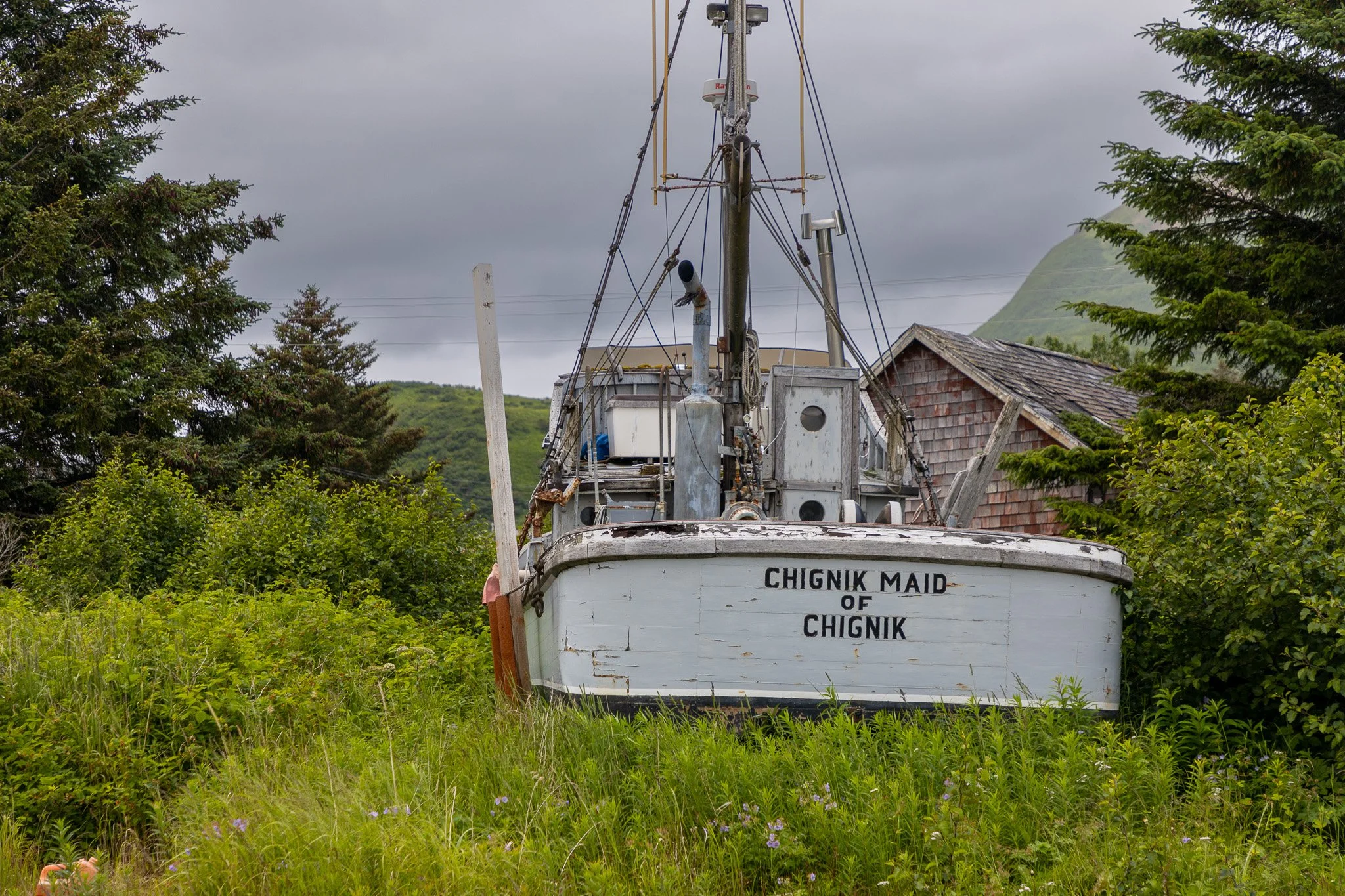Chignik Maid out of the water.
